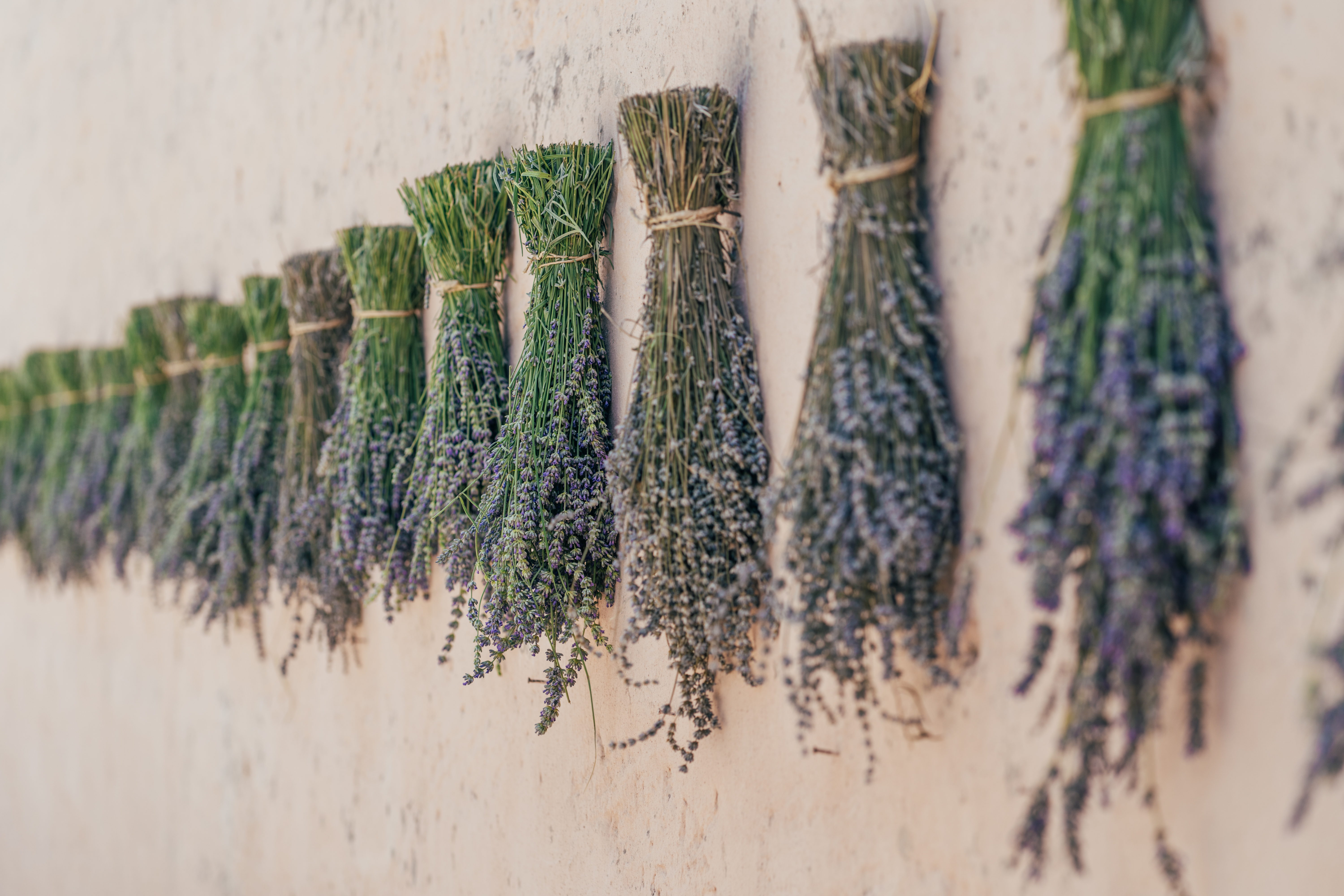 166 naturalis dsc04523