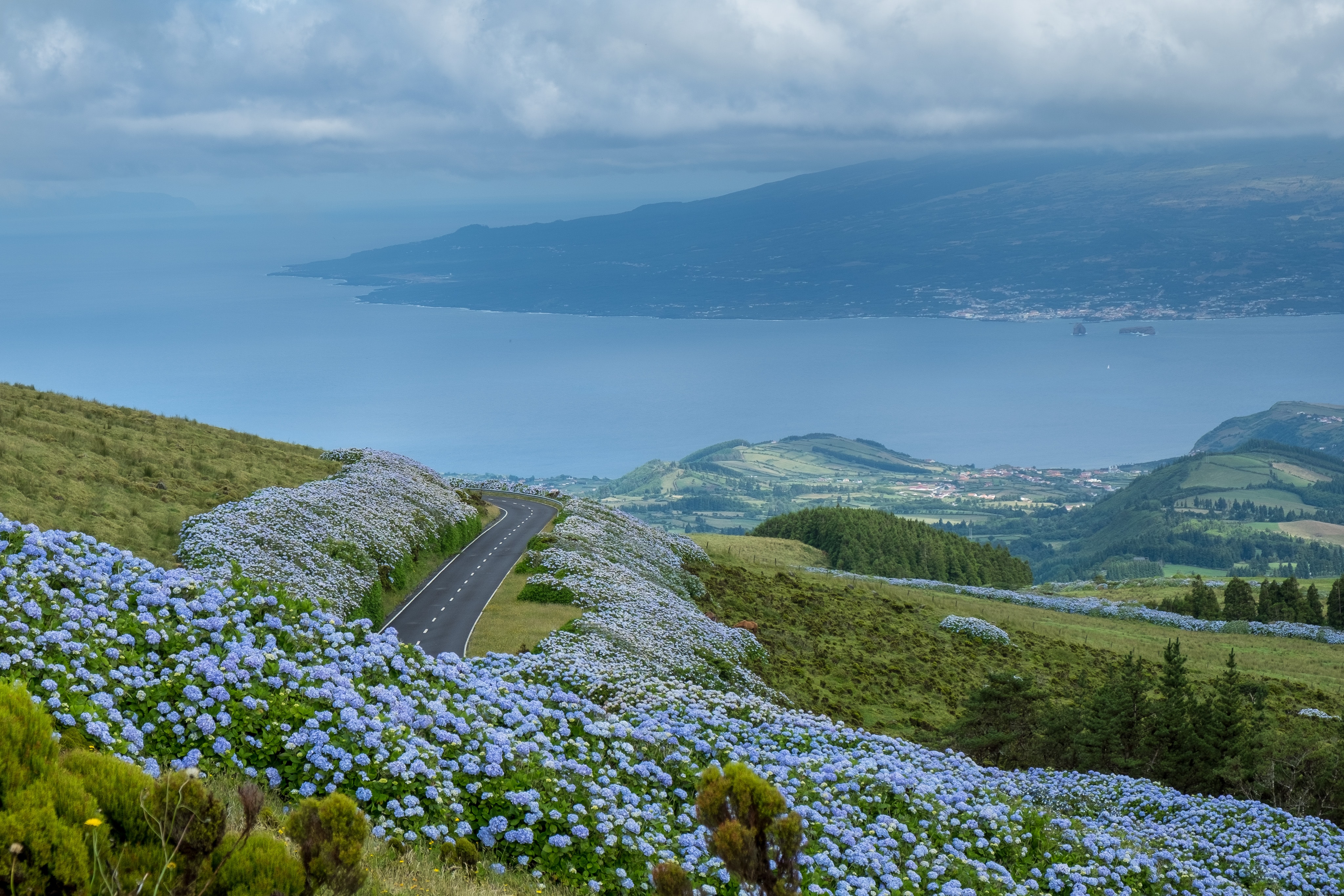 6 faial