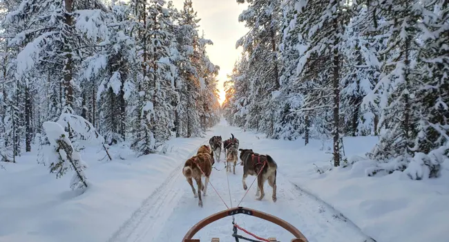 Unique winter experience in Swedish Lapland