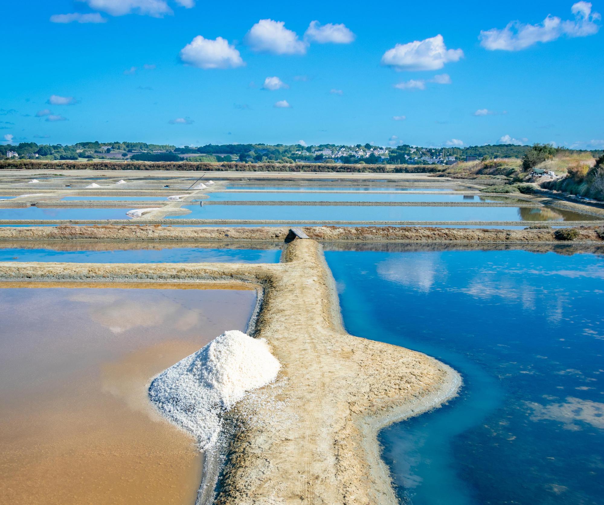 Eating and drinking like God in France
