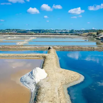 Eating and drinking like God in France