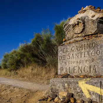 An extraordinary journey to Compostela