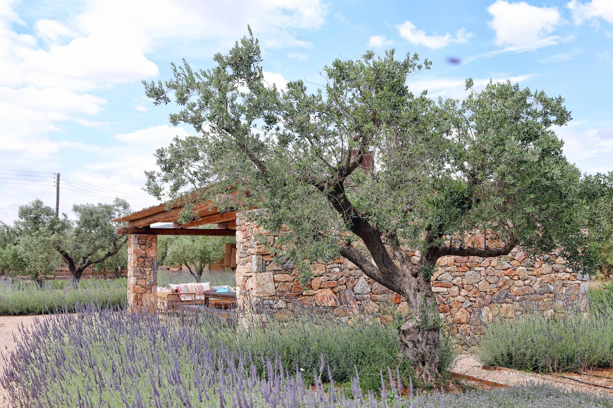 hotel the margi ligging