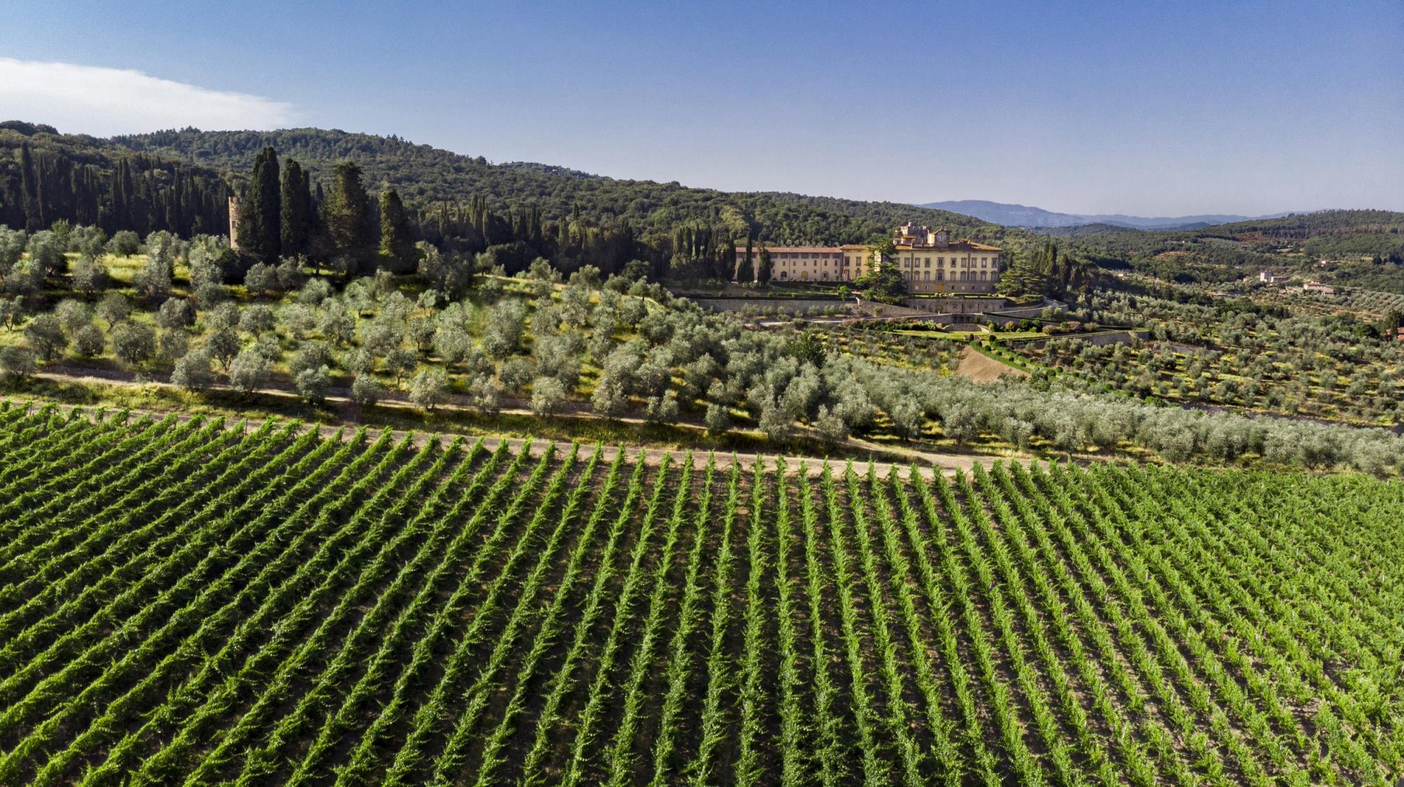 torre a cona wine estate ligging