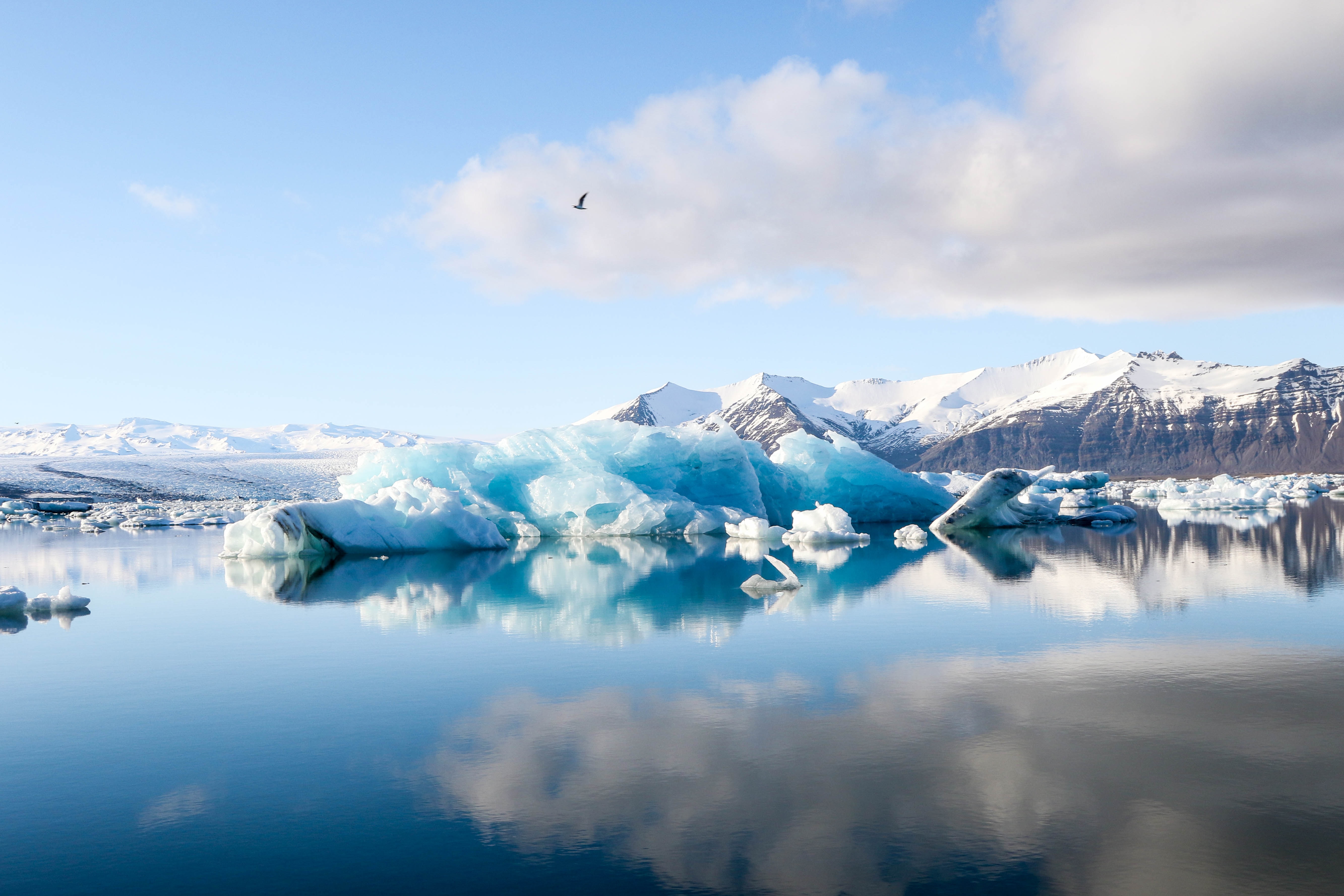 iceberg reflection in jokulsarlon