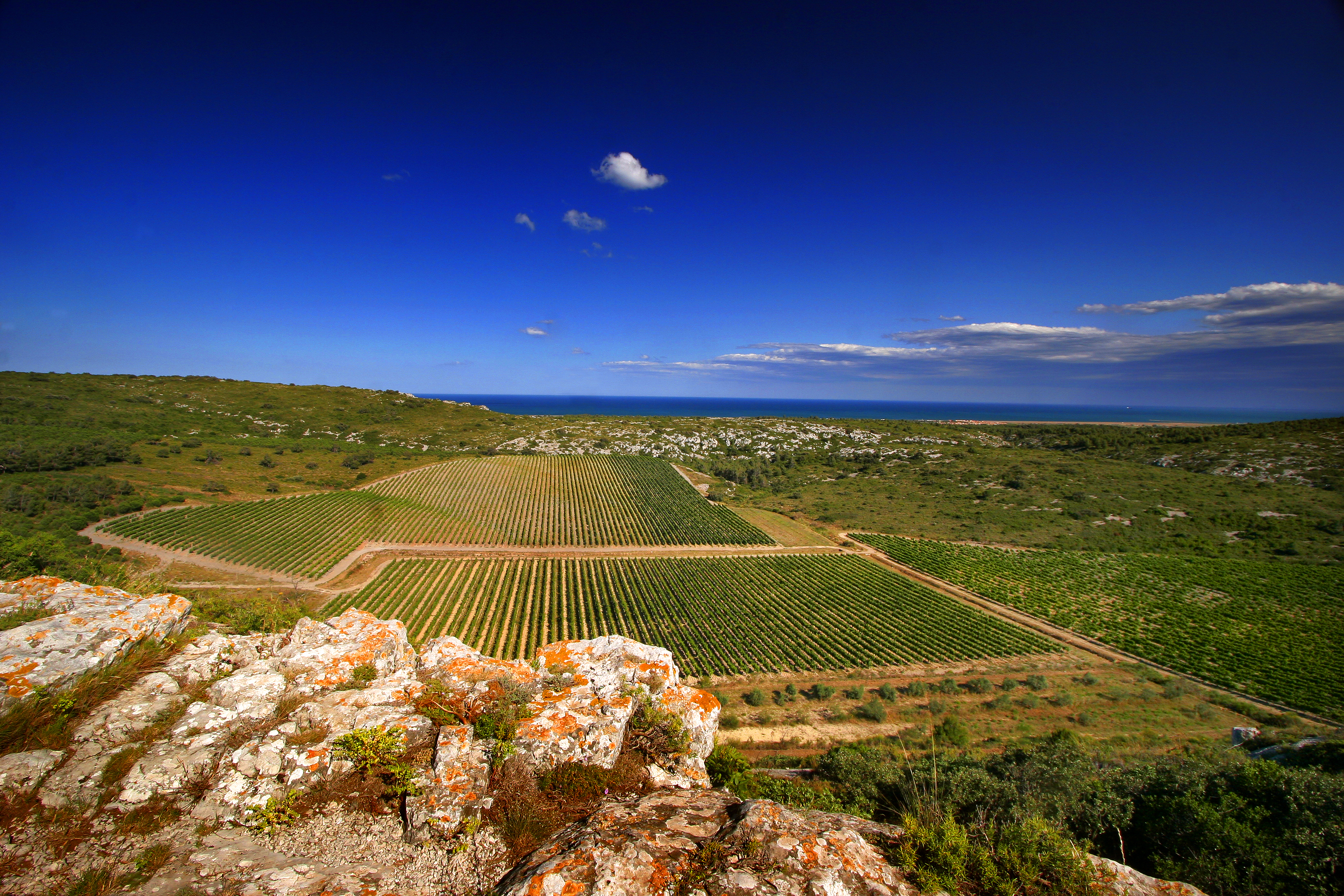 Wine tour through Occitania and Catalonia