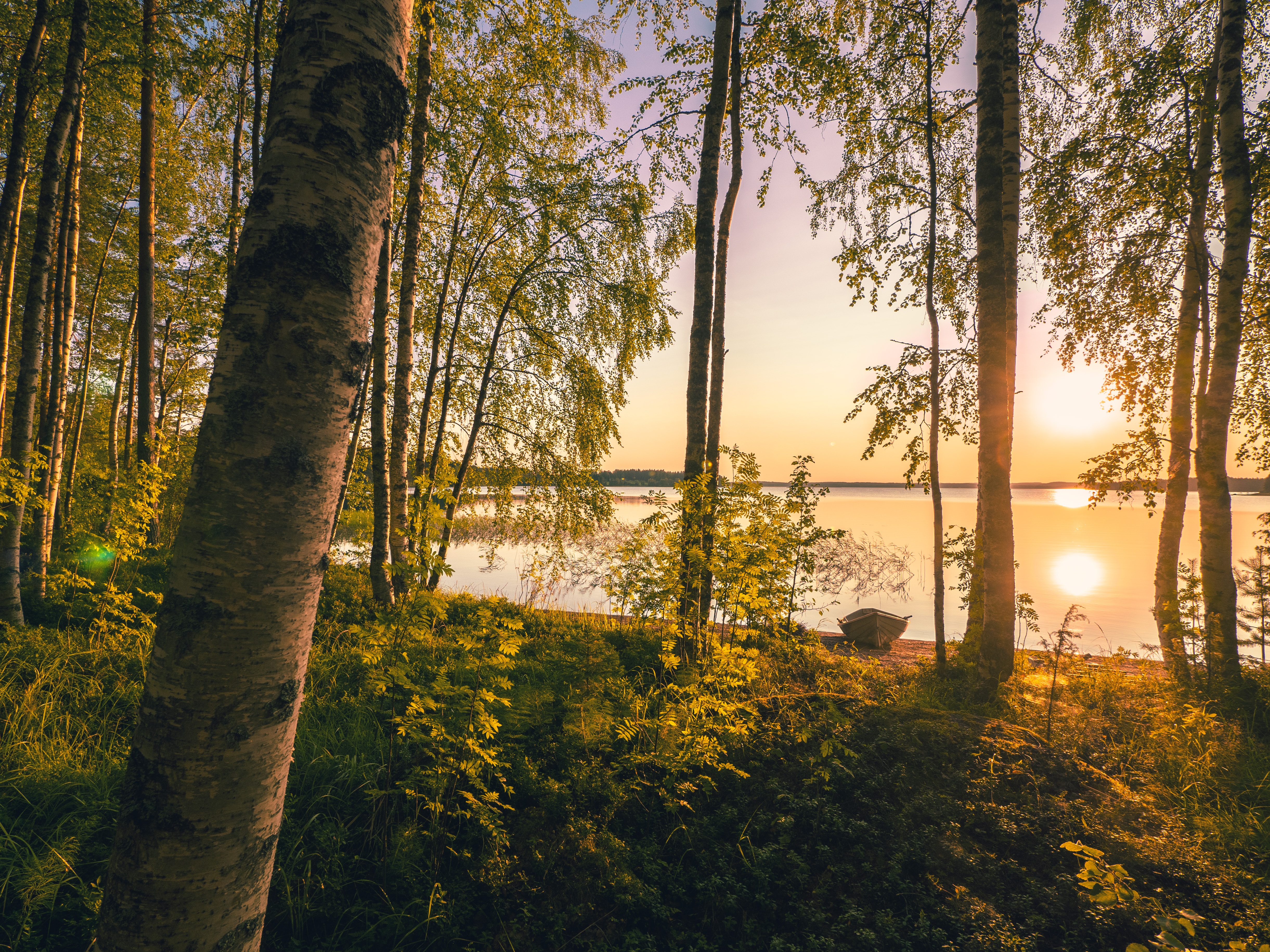 Summer in Finnish Lapland