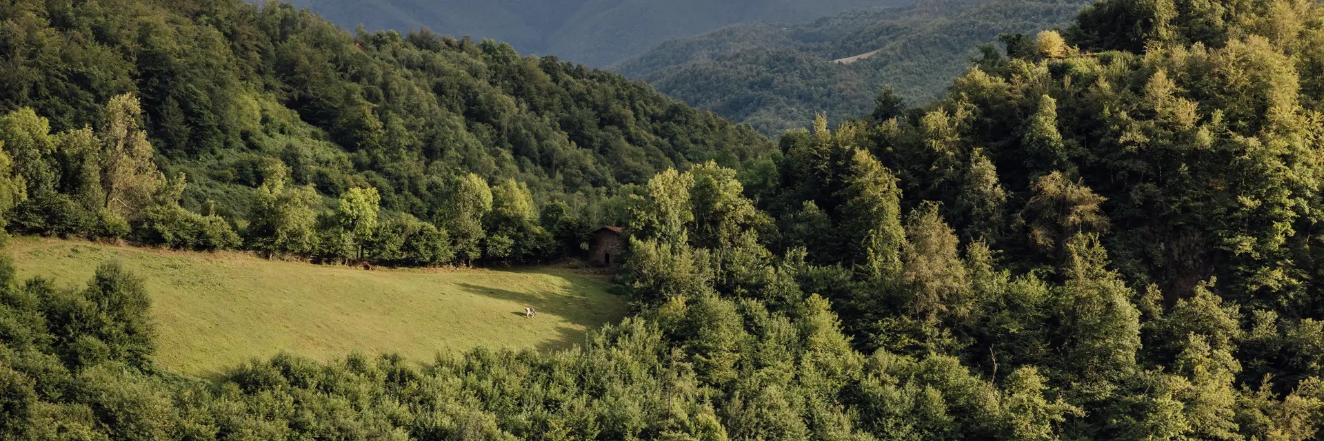 30 solo palacio149 jfk