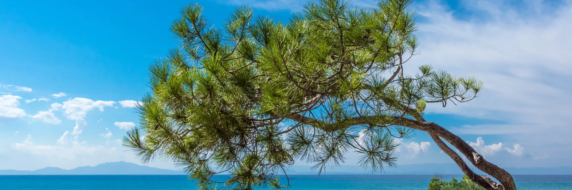 Peloponnese and Ionian Islands