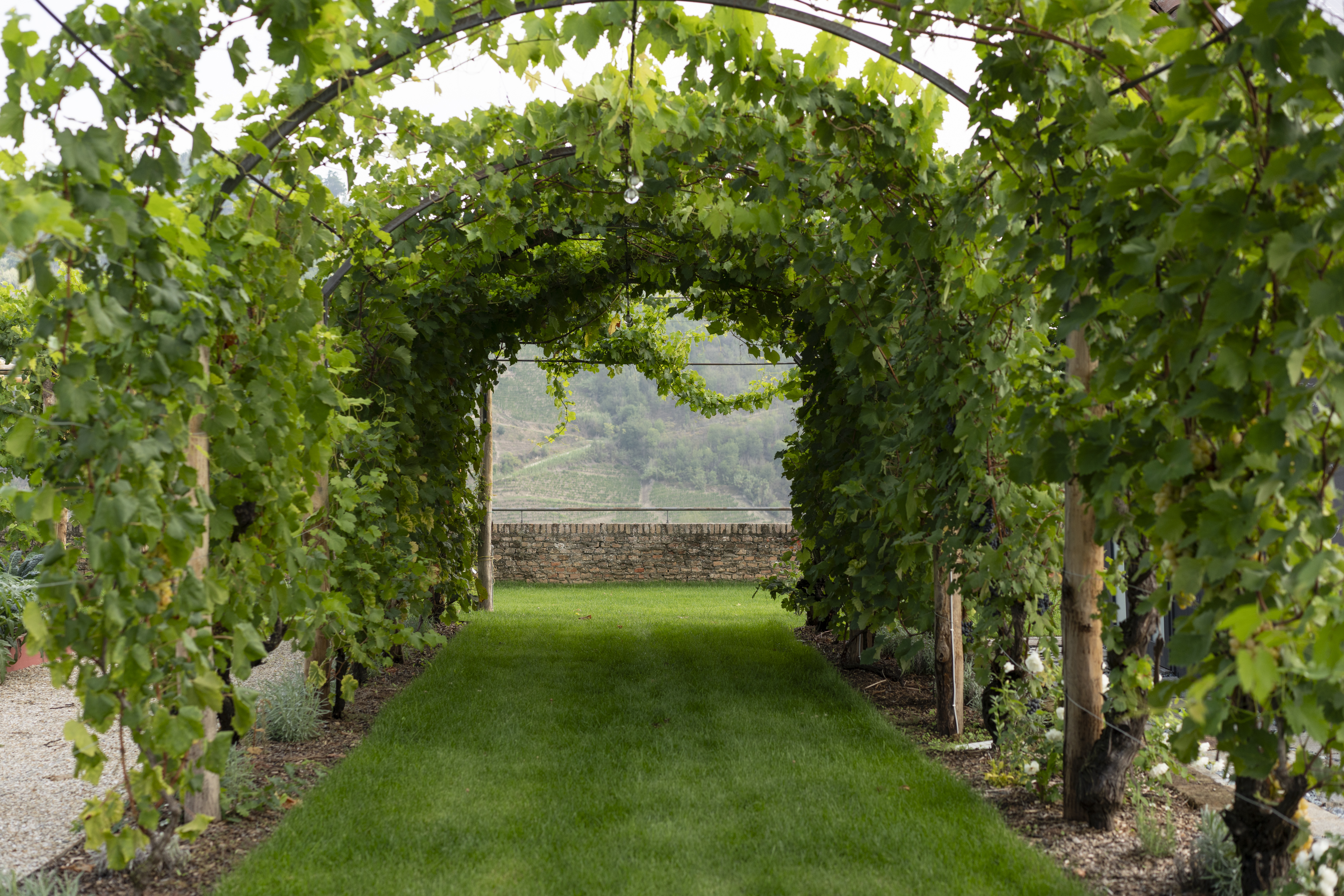 4 vigne di fagnano tuin