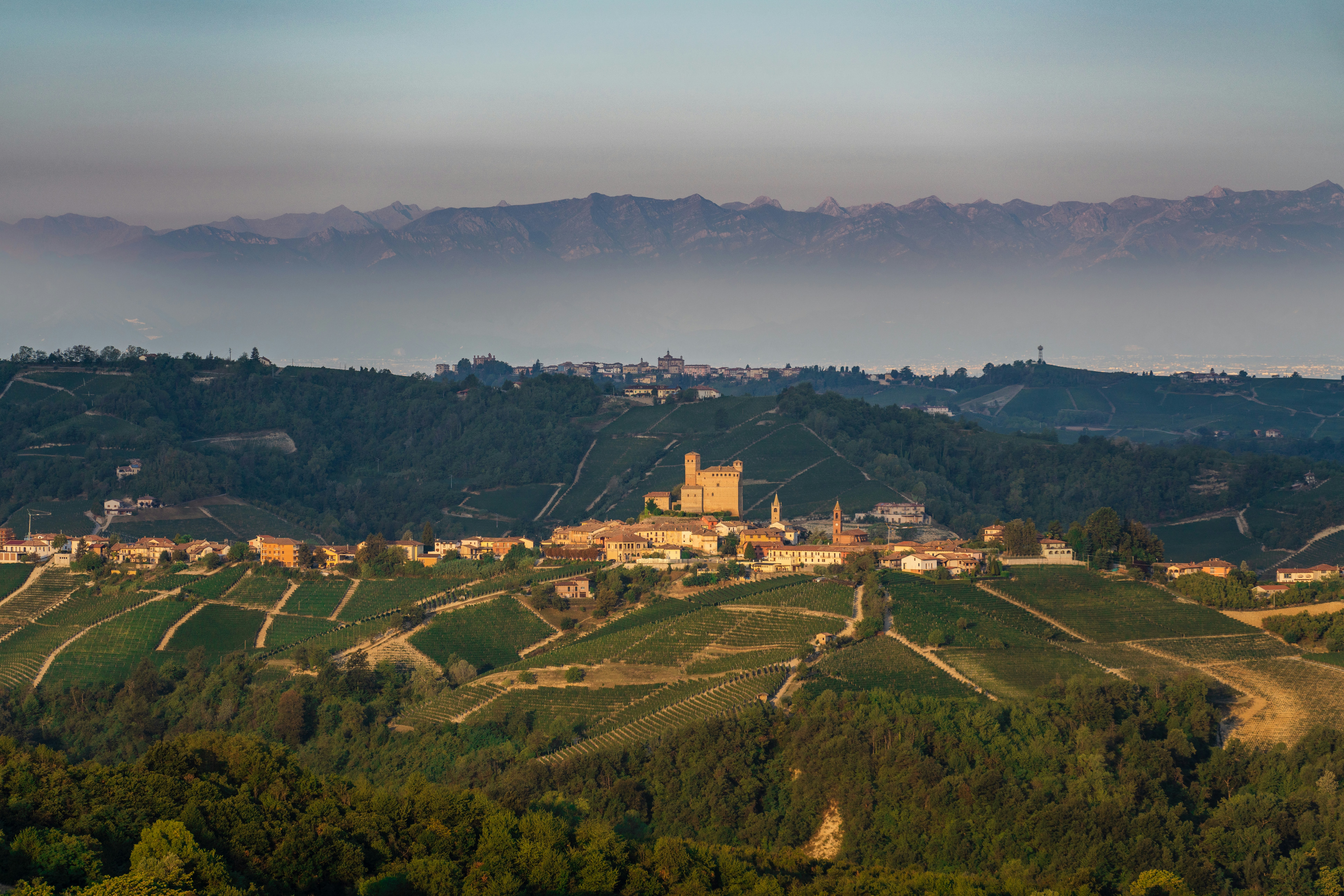 wijnreis piemonte uitzicht