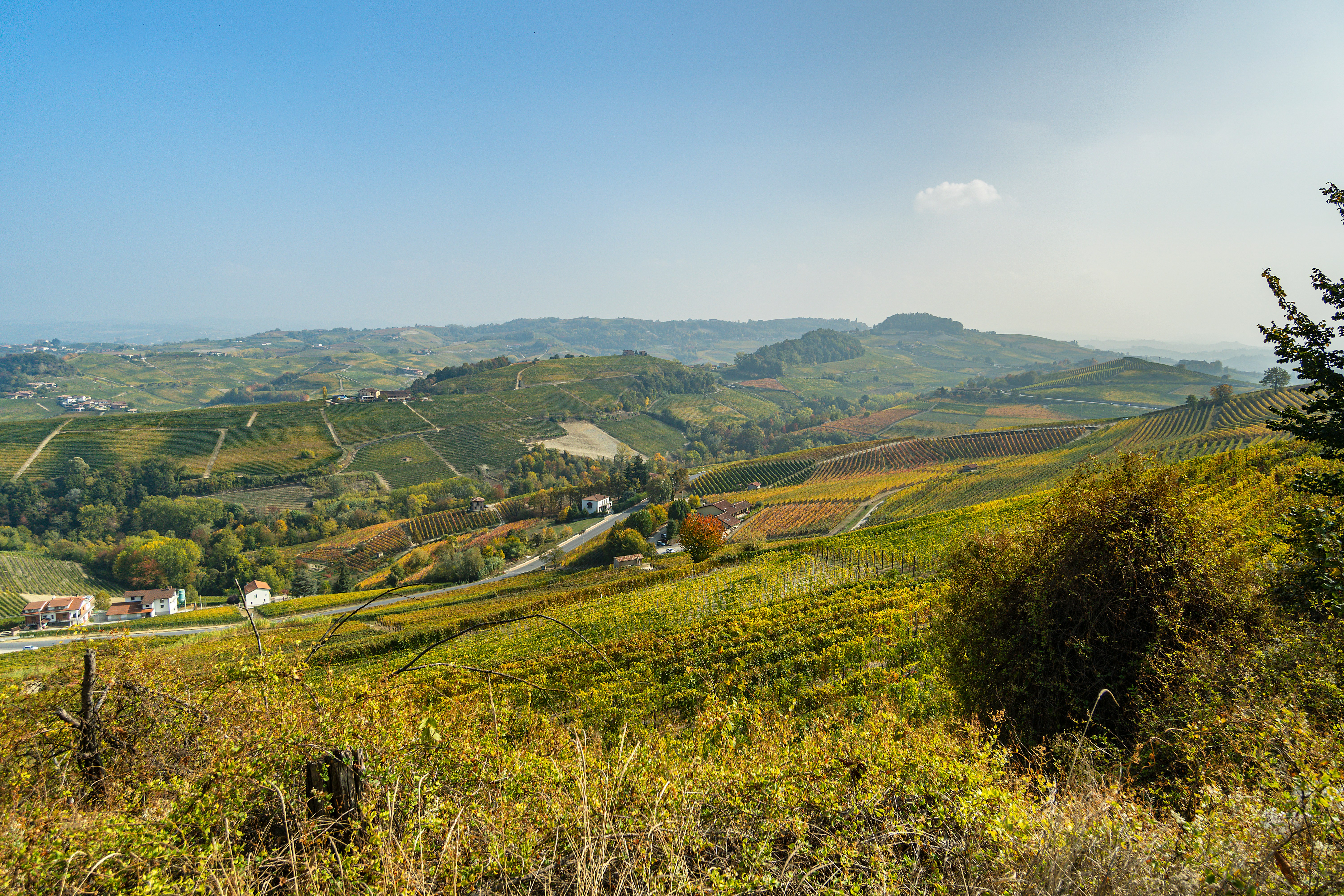 wijnreis piemonte landschap