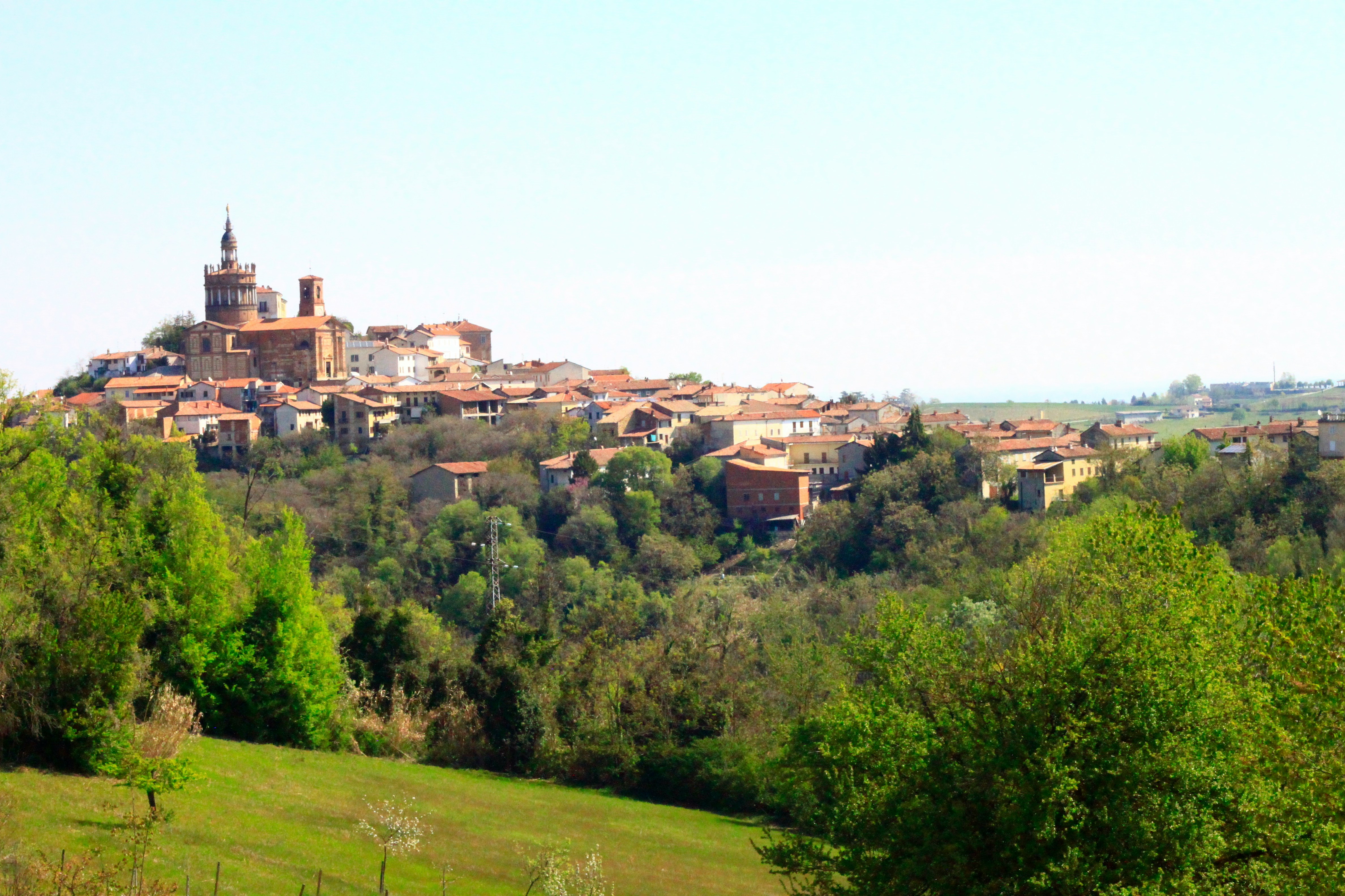 wijnreis piemonte view