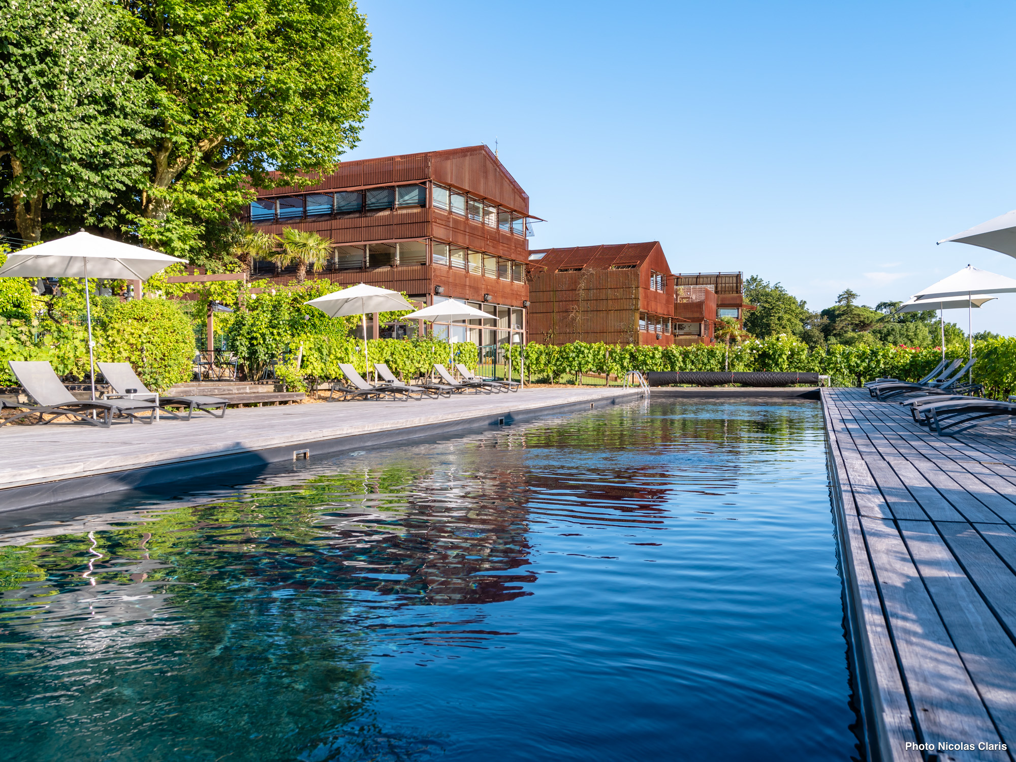 une piscine dans la vigne 3