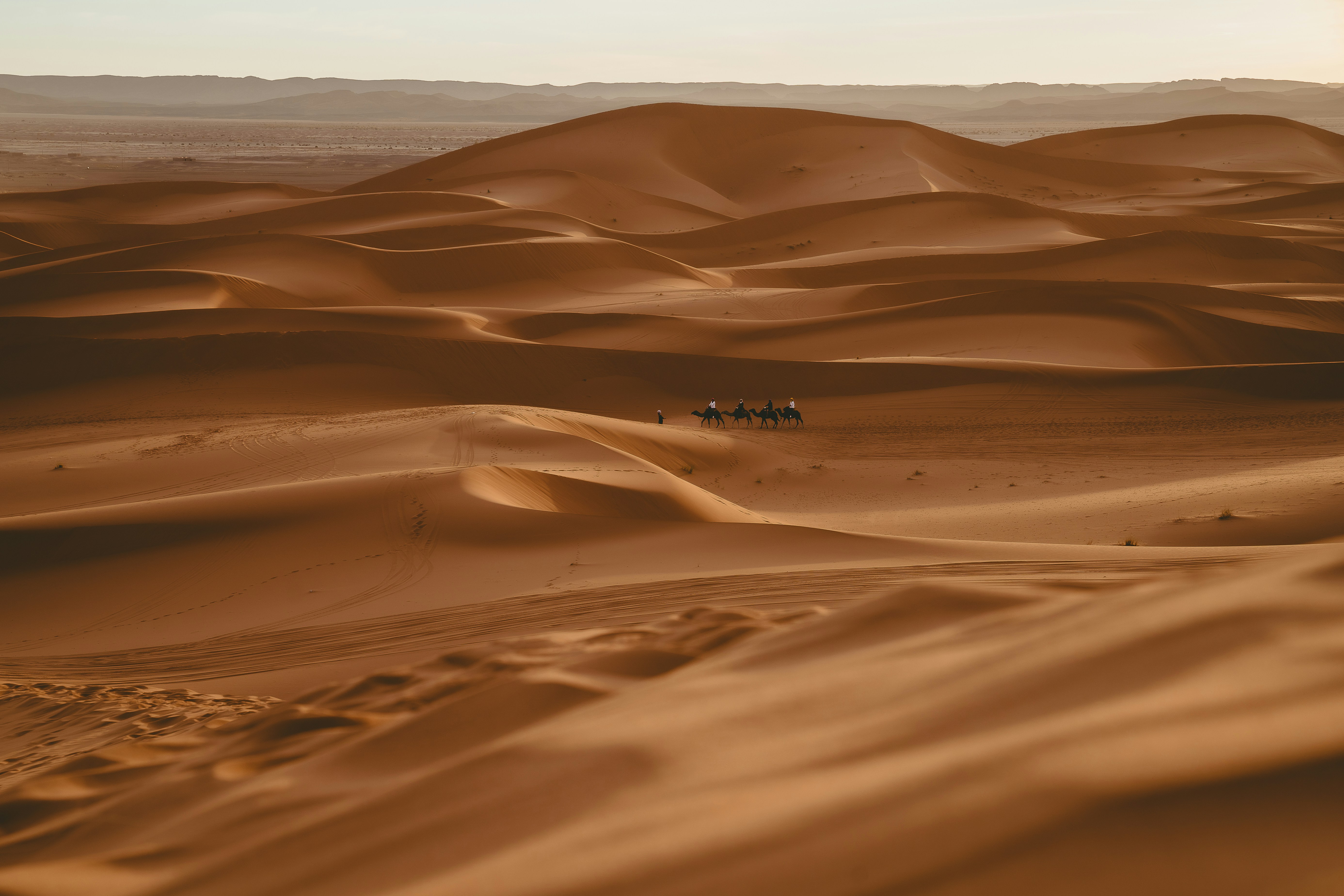 sahara