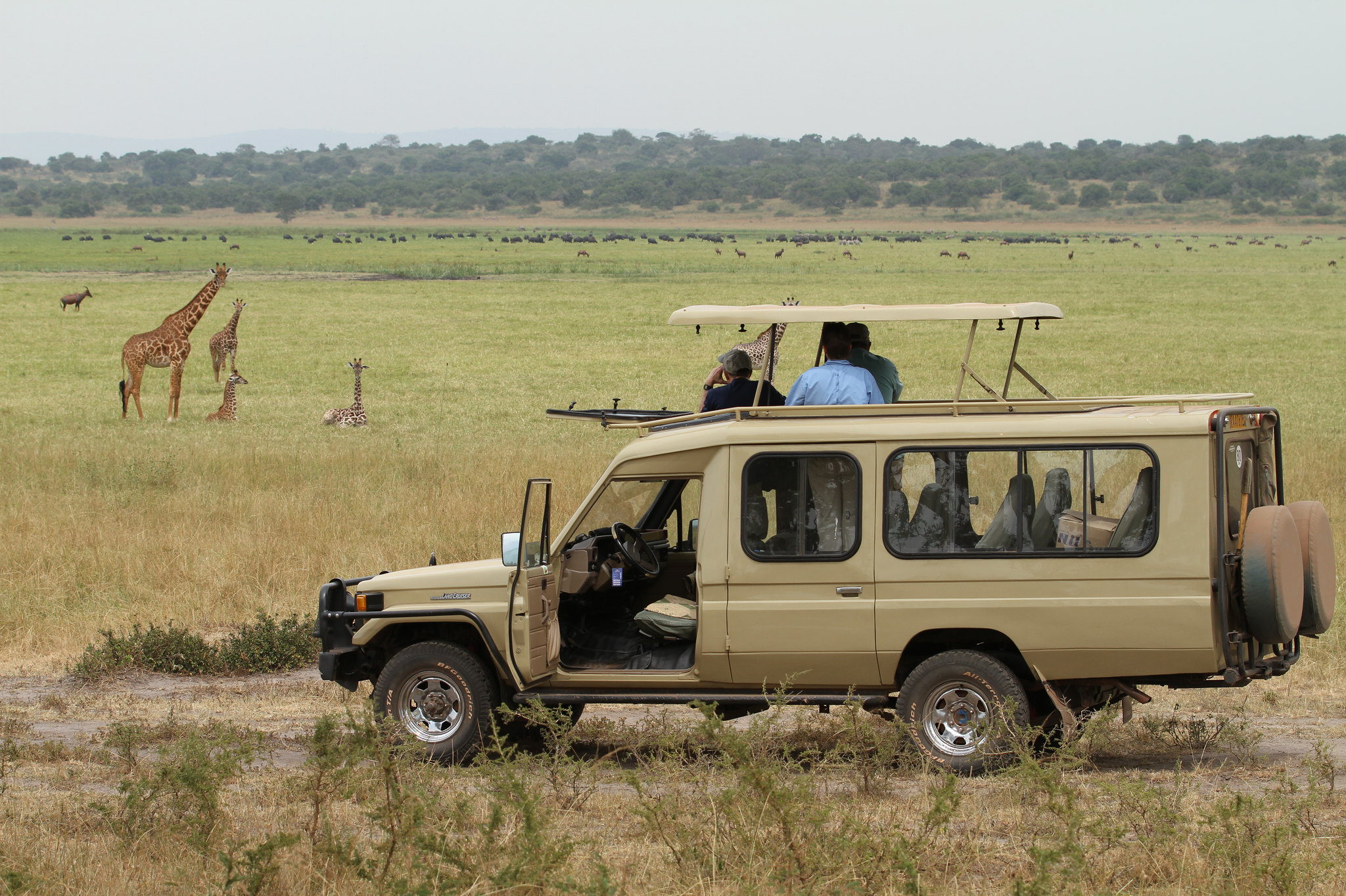 game drive in akagera national park