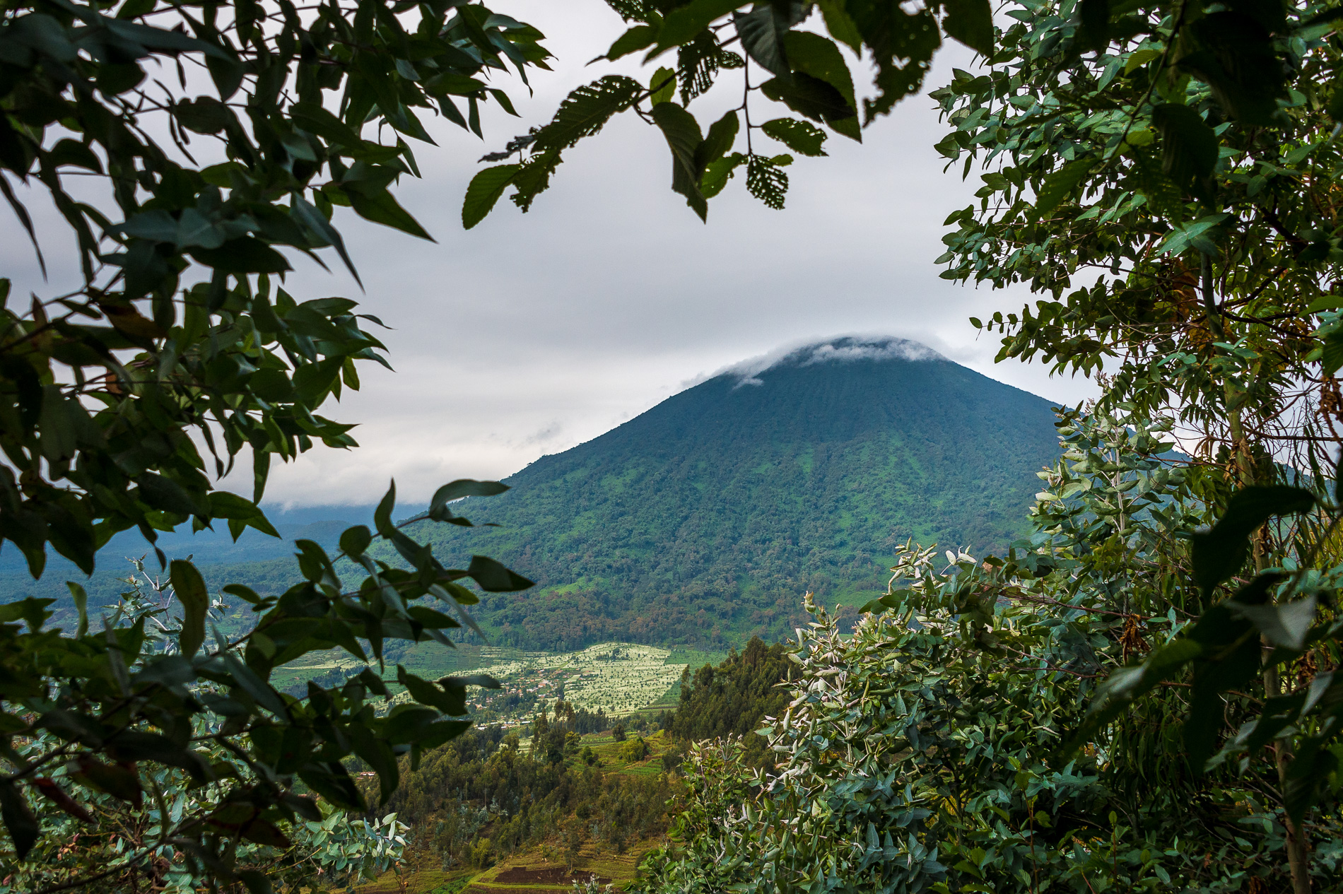 rwanda volcanoes national park copy