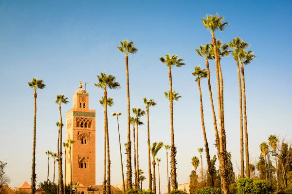 Morocco's highlights, a journey through royal cities 