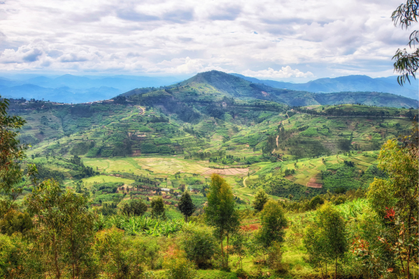 rural landscape rwanda