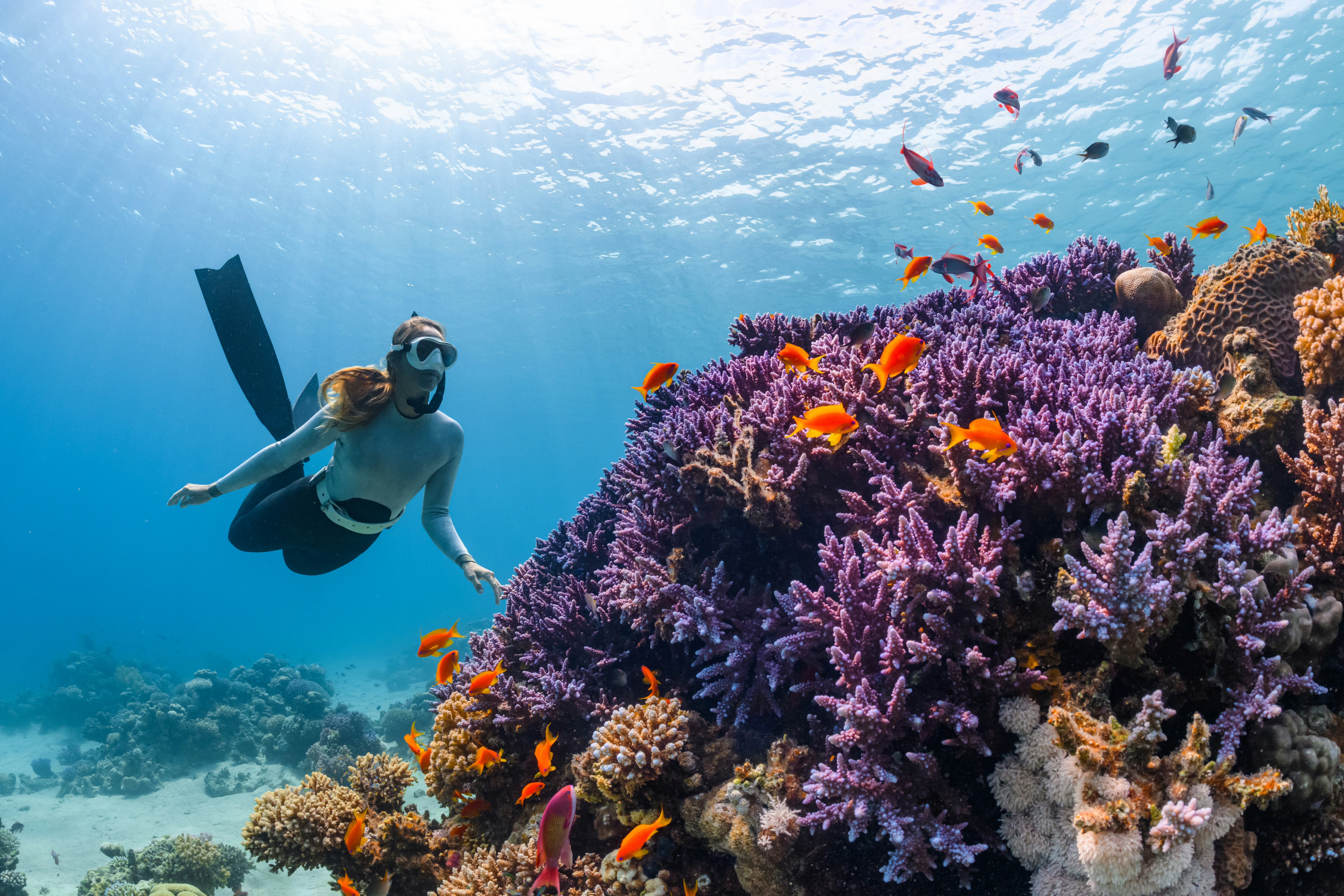 Diving trip in Oman