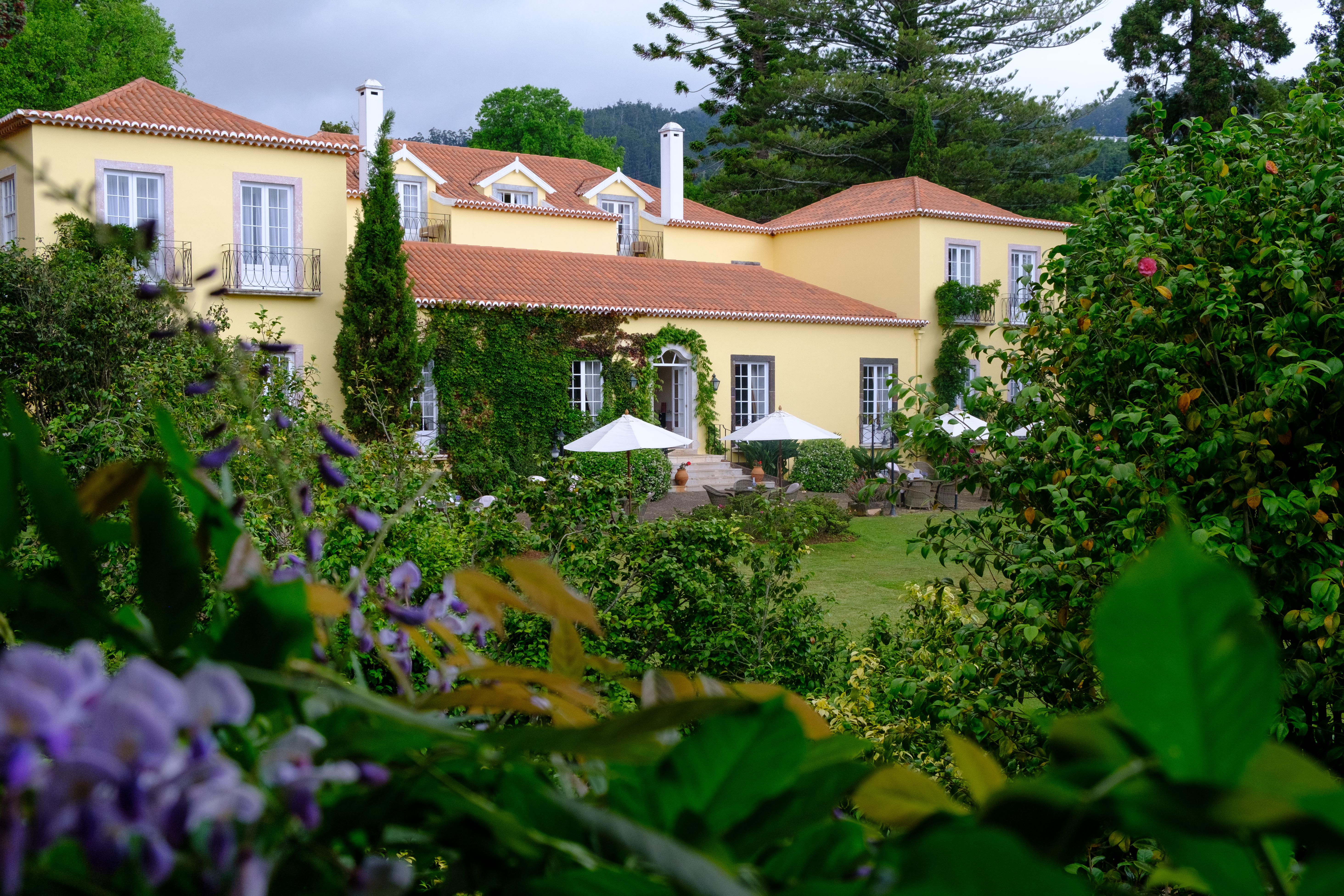 1 outside garden and front