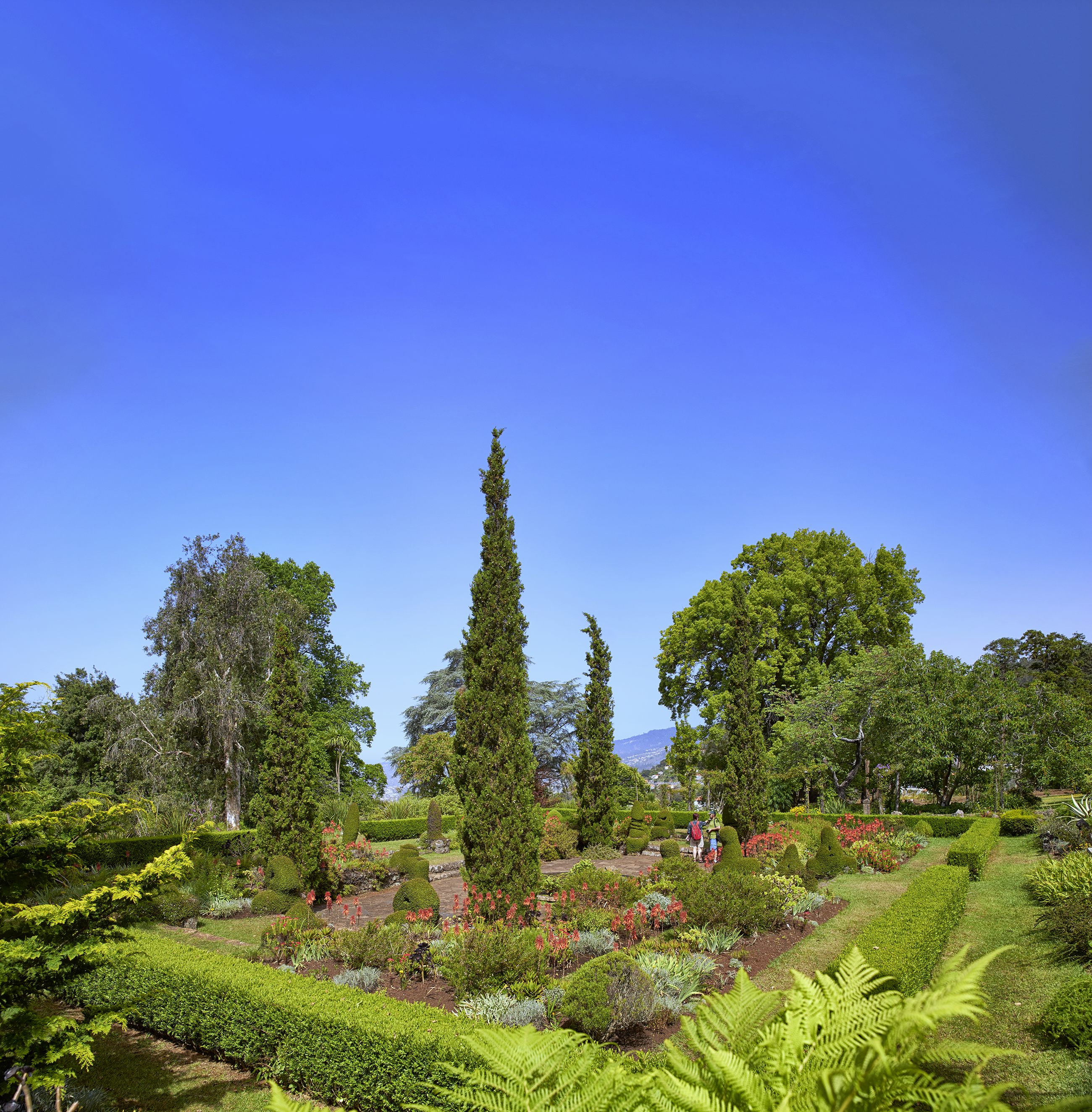 25 gardens