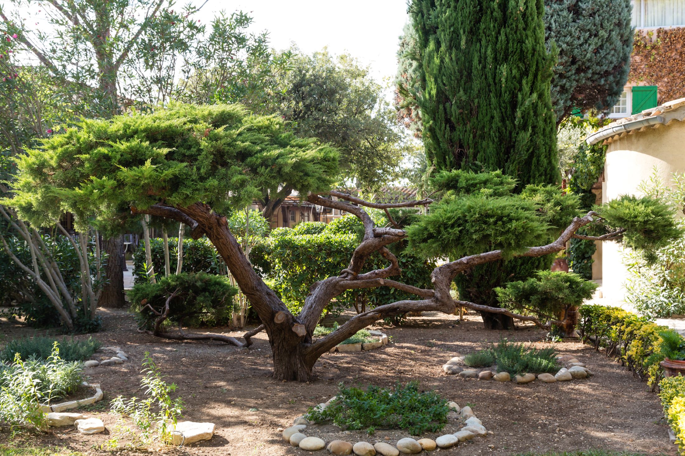 aubergedecassagnespa jardin bonzai kopie