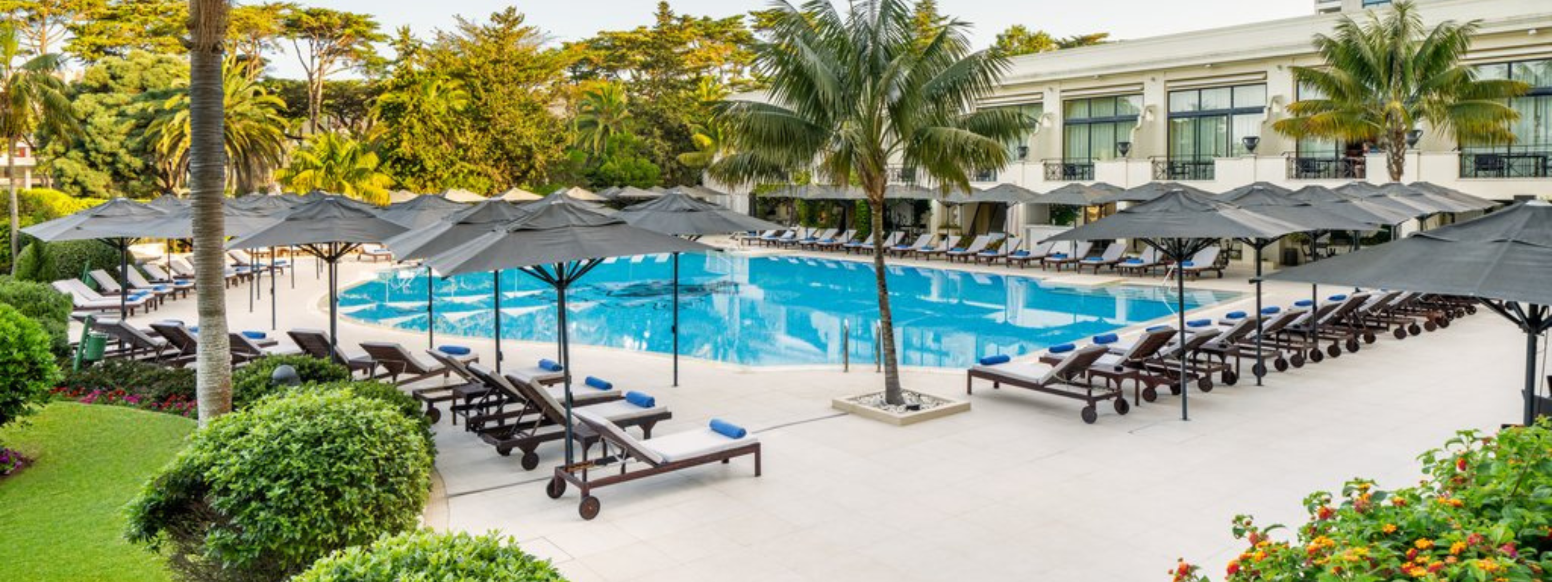 banners 2024 12 02t142546 484