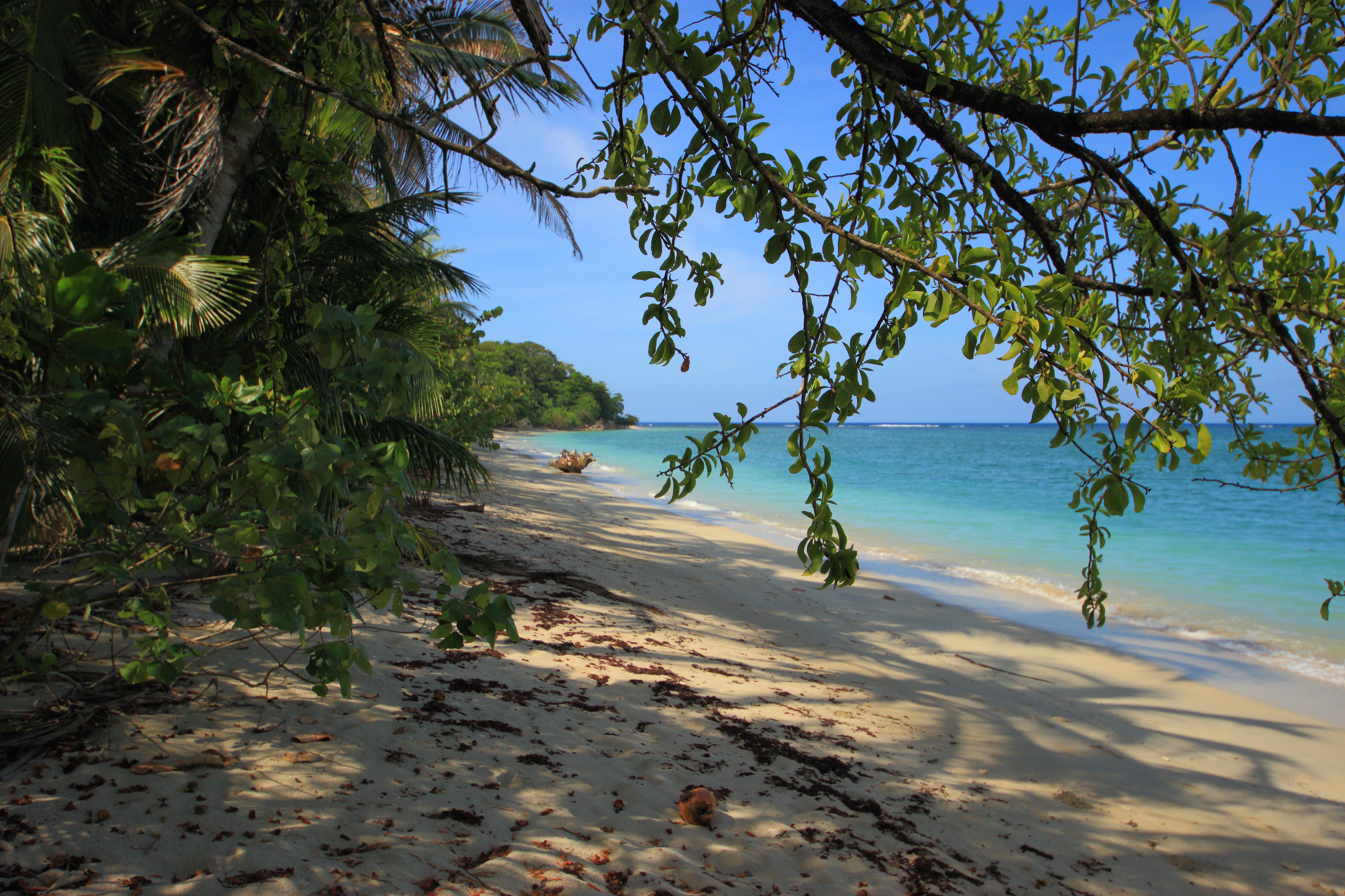 beach 3