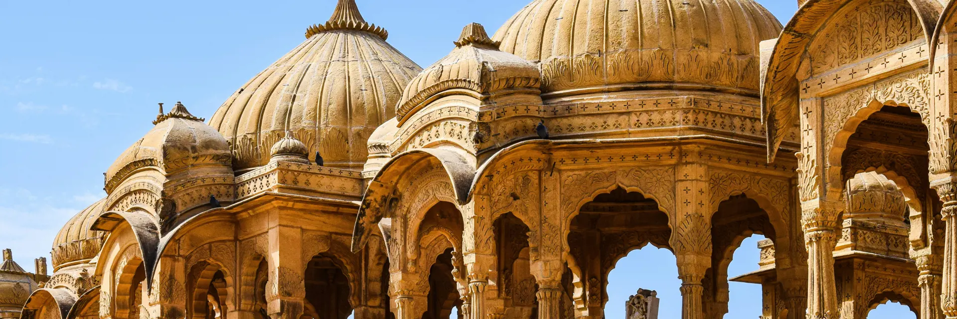 banners 2024 12 04t095502 268