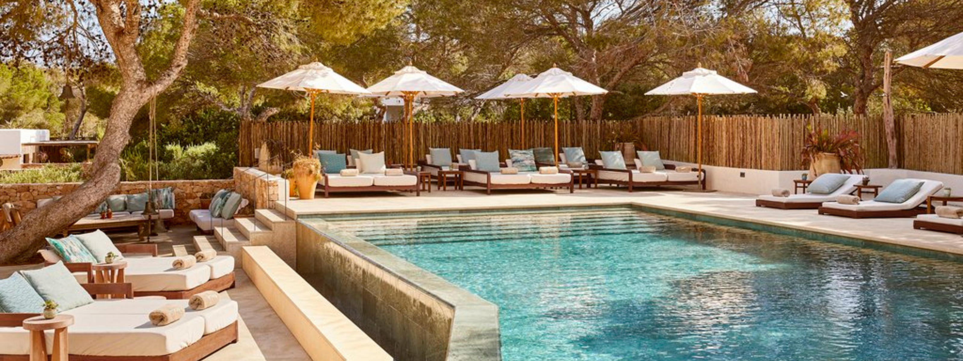 banners 2024 12 05t154546 416