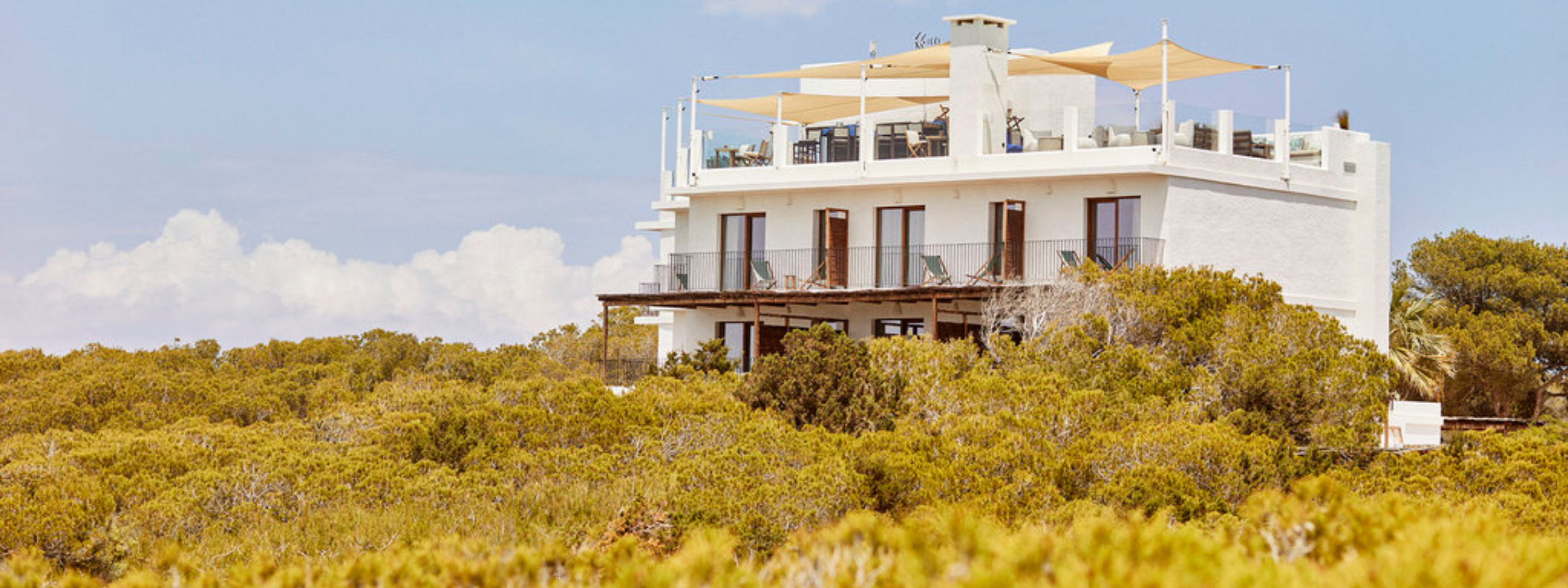 banners 2024 12 05t154513 439