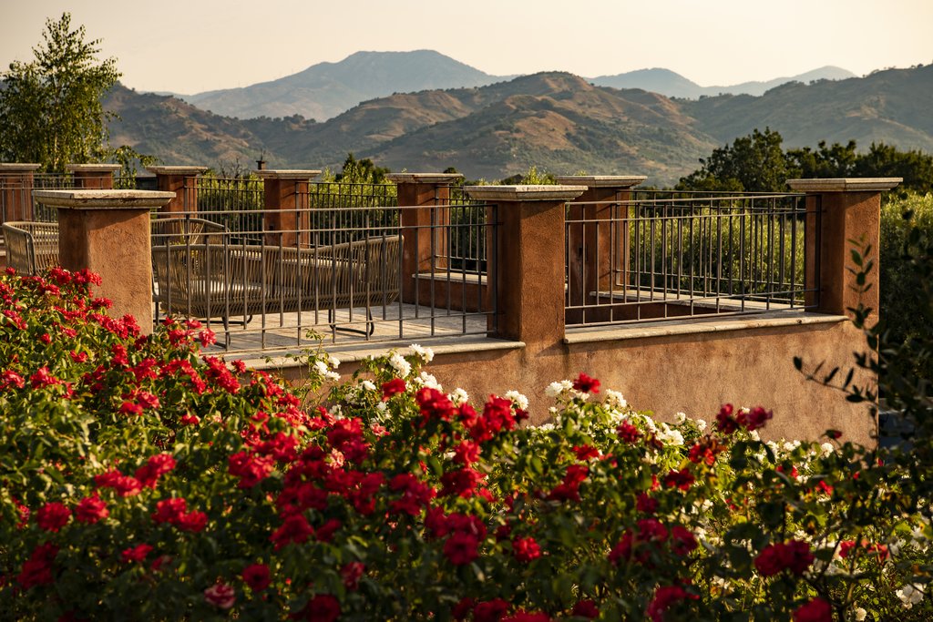 mountain views