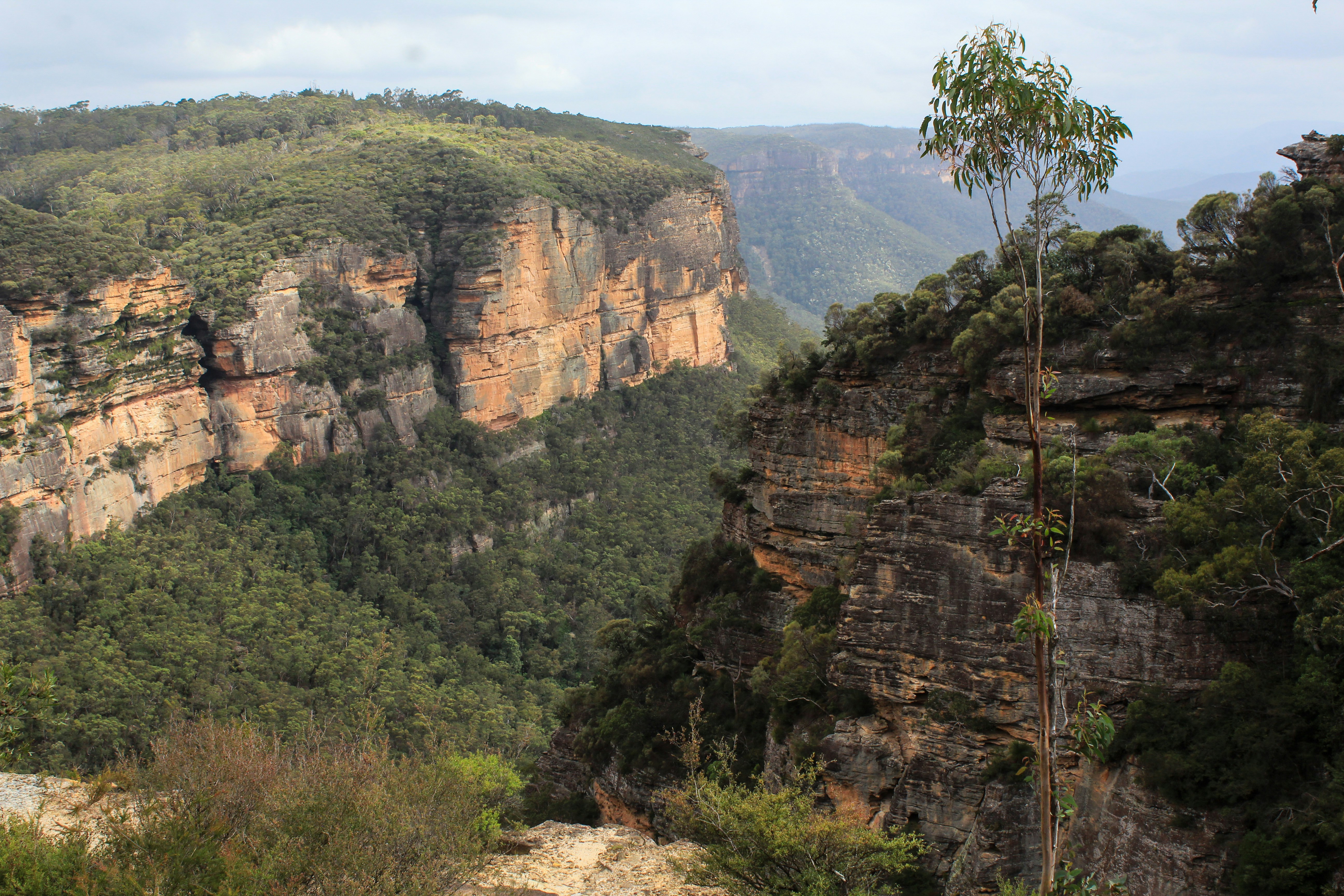 blue mountains national park nsw