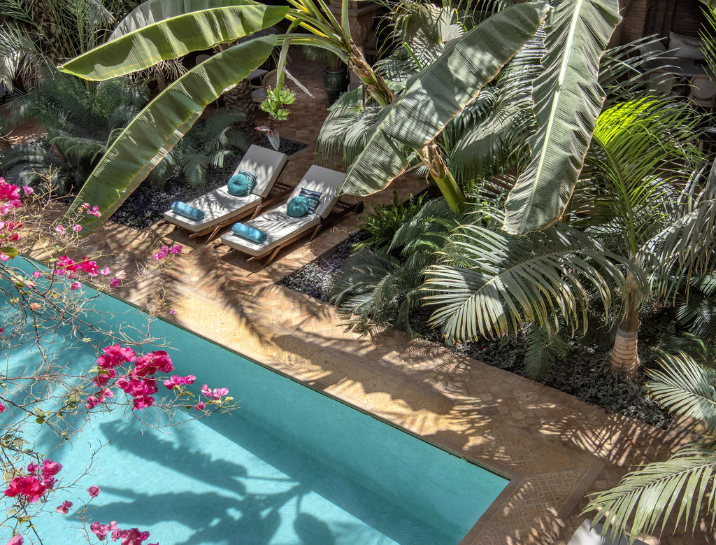 6patio almohad