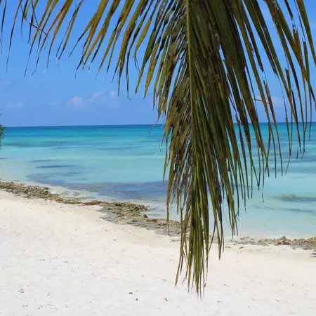 dominicaanse republiek reizen