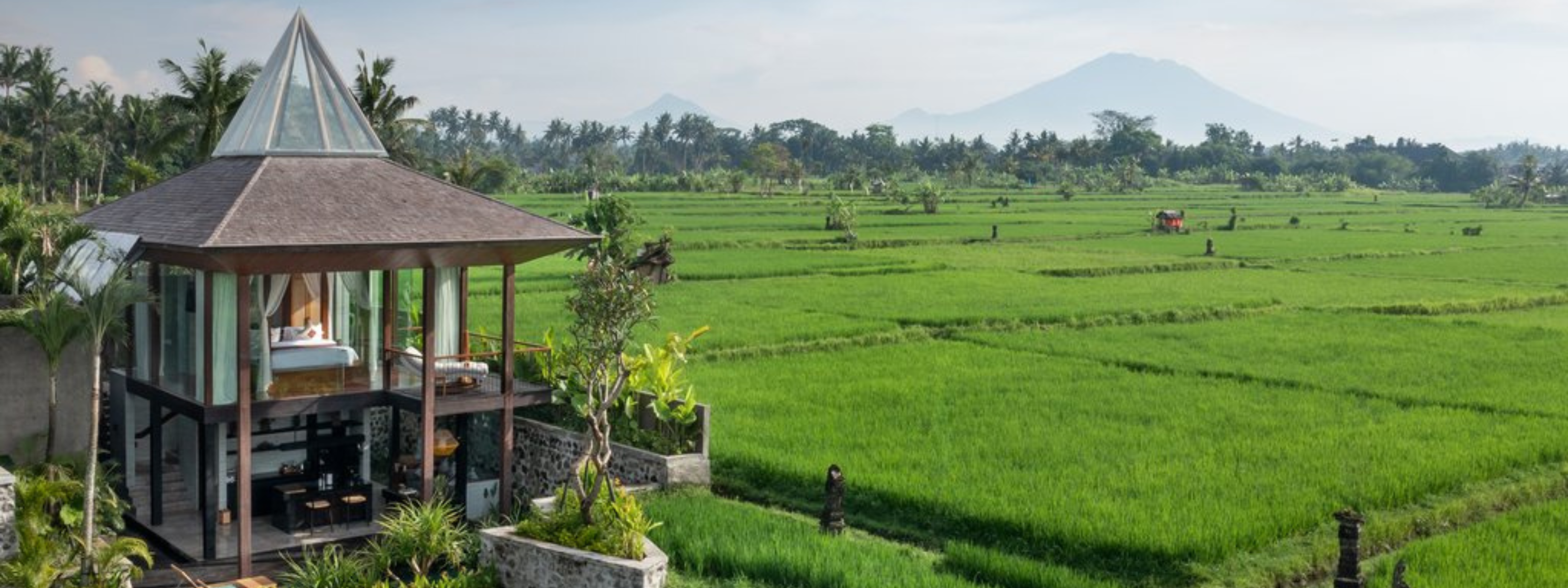 Gdas Bali Health and Wellness Resort