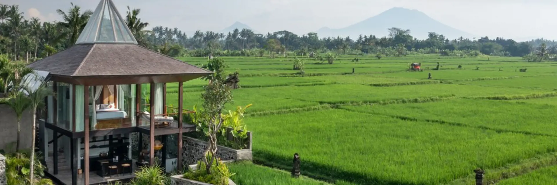 Gdas Bali Health and Wellness Resort