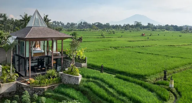 Gdas Bali Health and Wellness Resort