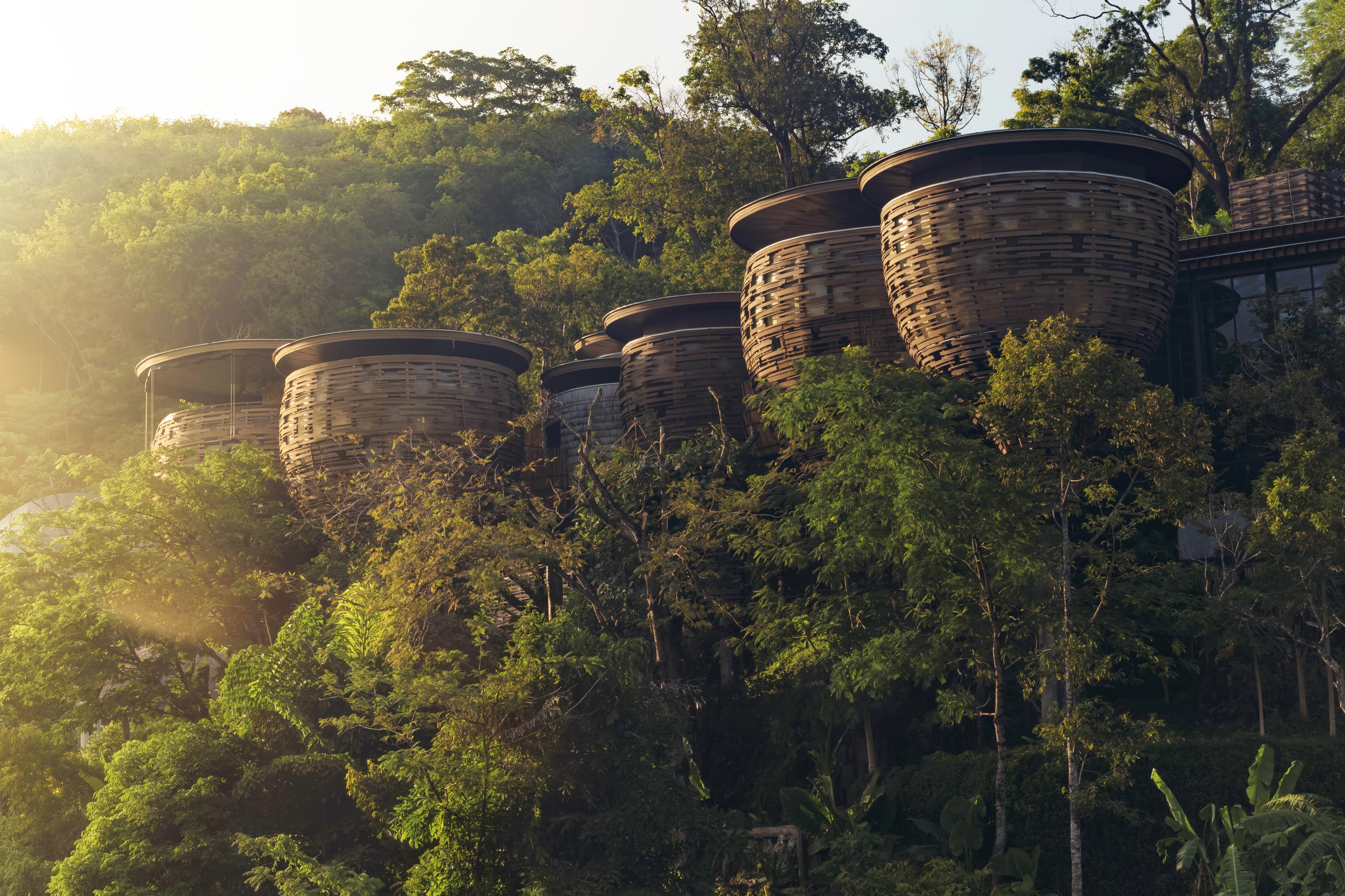 edit keemala tree towers at sunrise