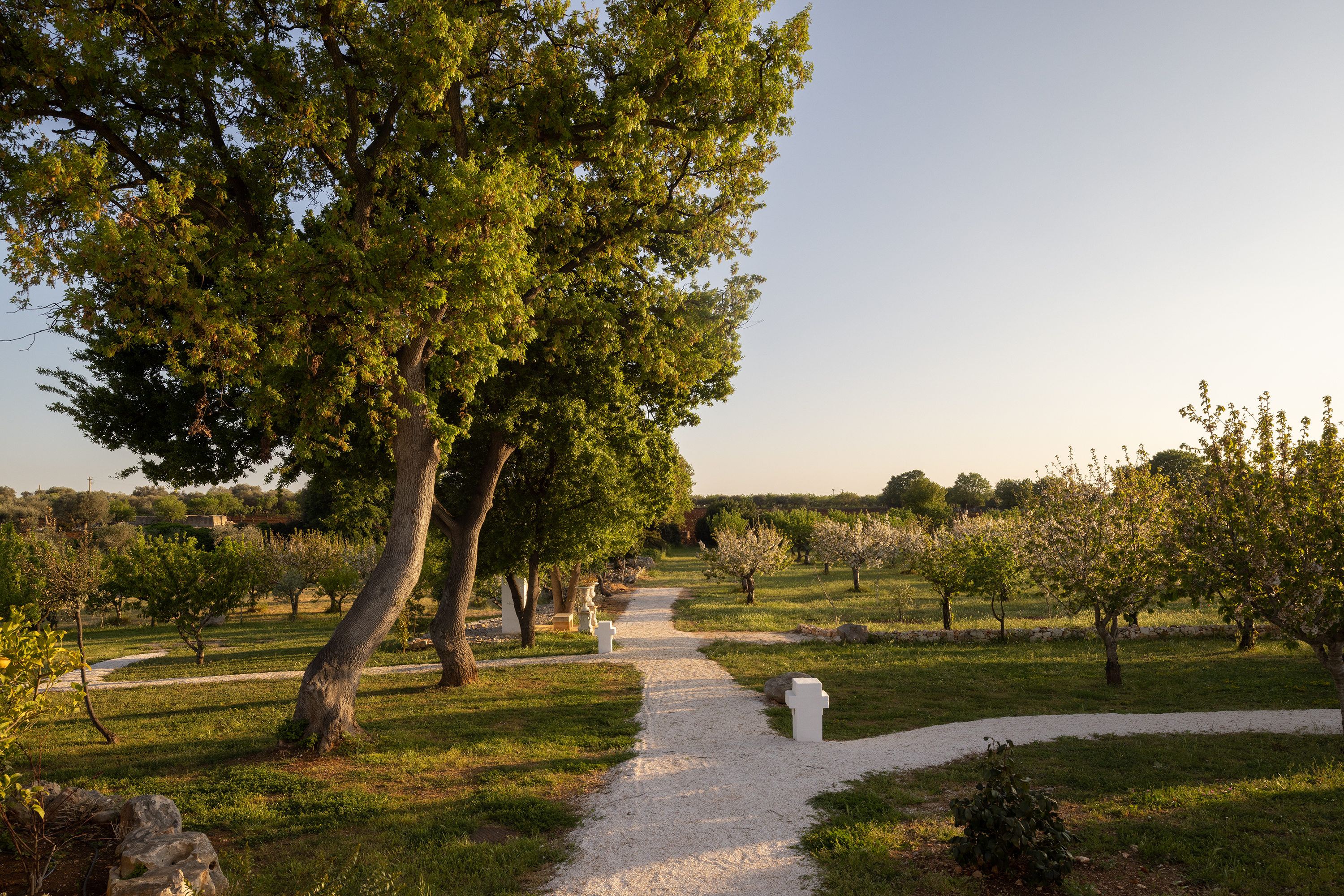 7 masseria le torri omgeving