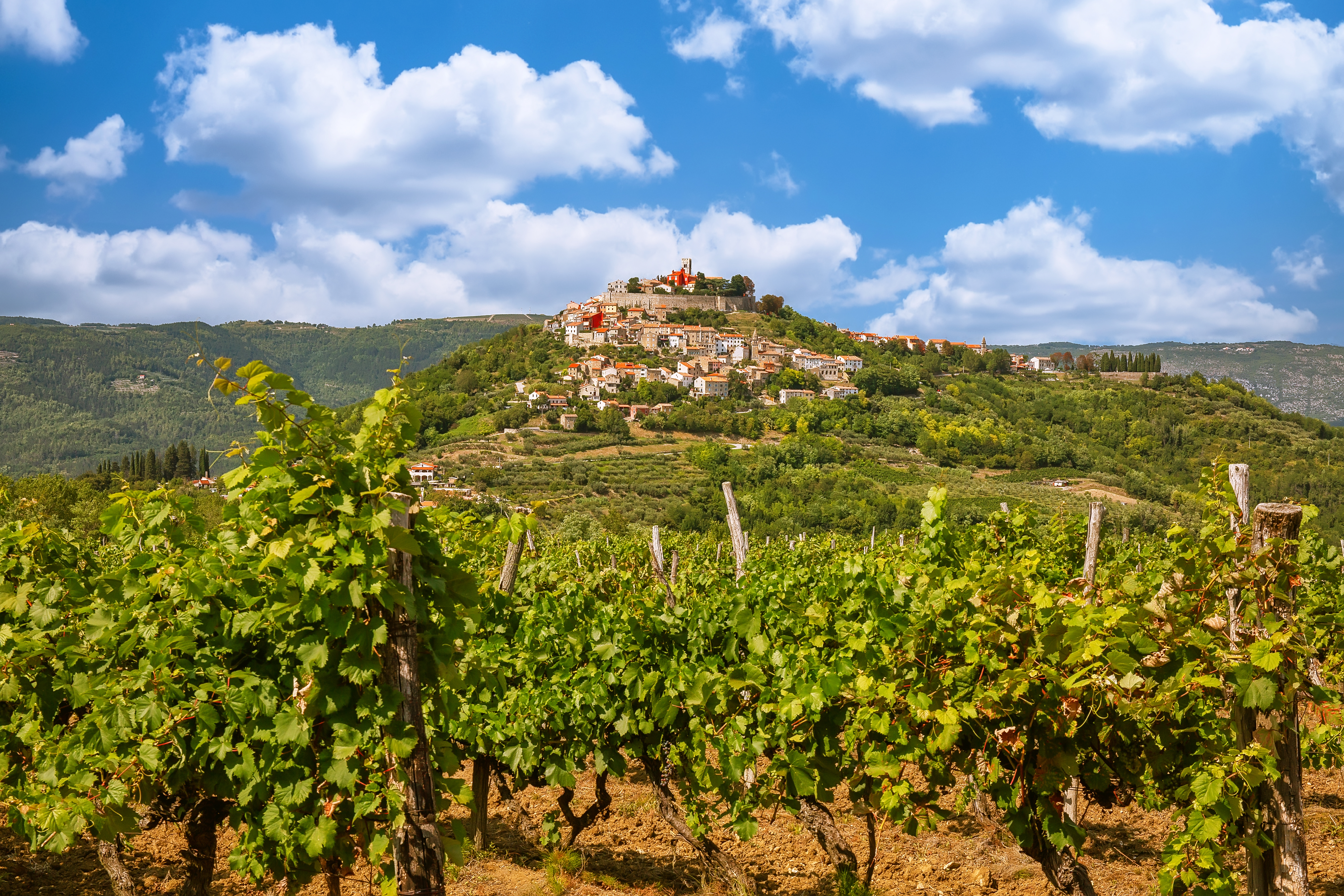 istra motovun shutterstock