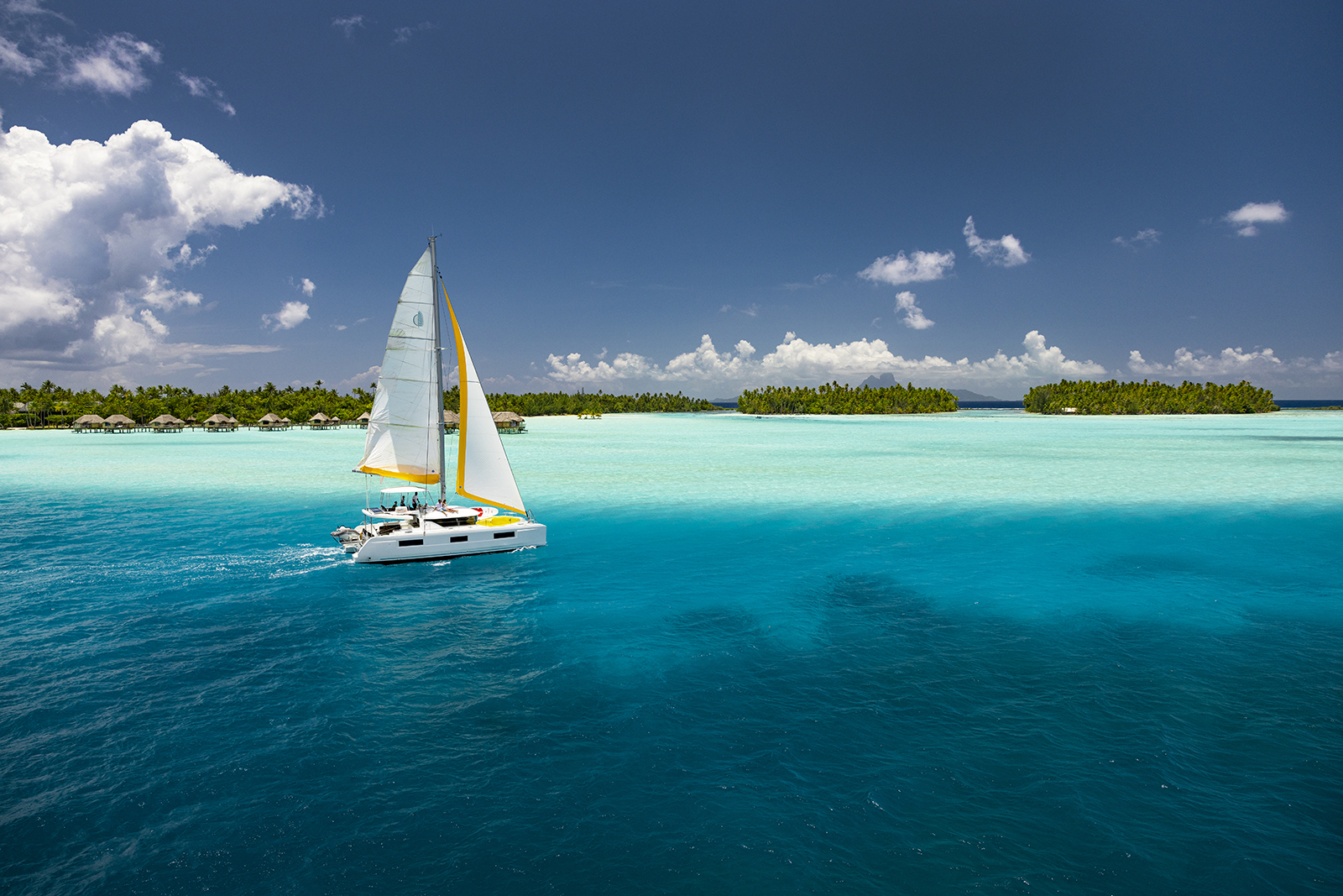 00138 tahaa  gregoirelebacon