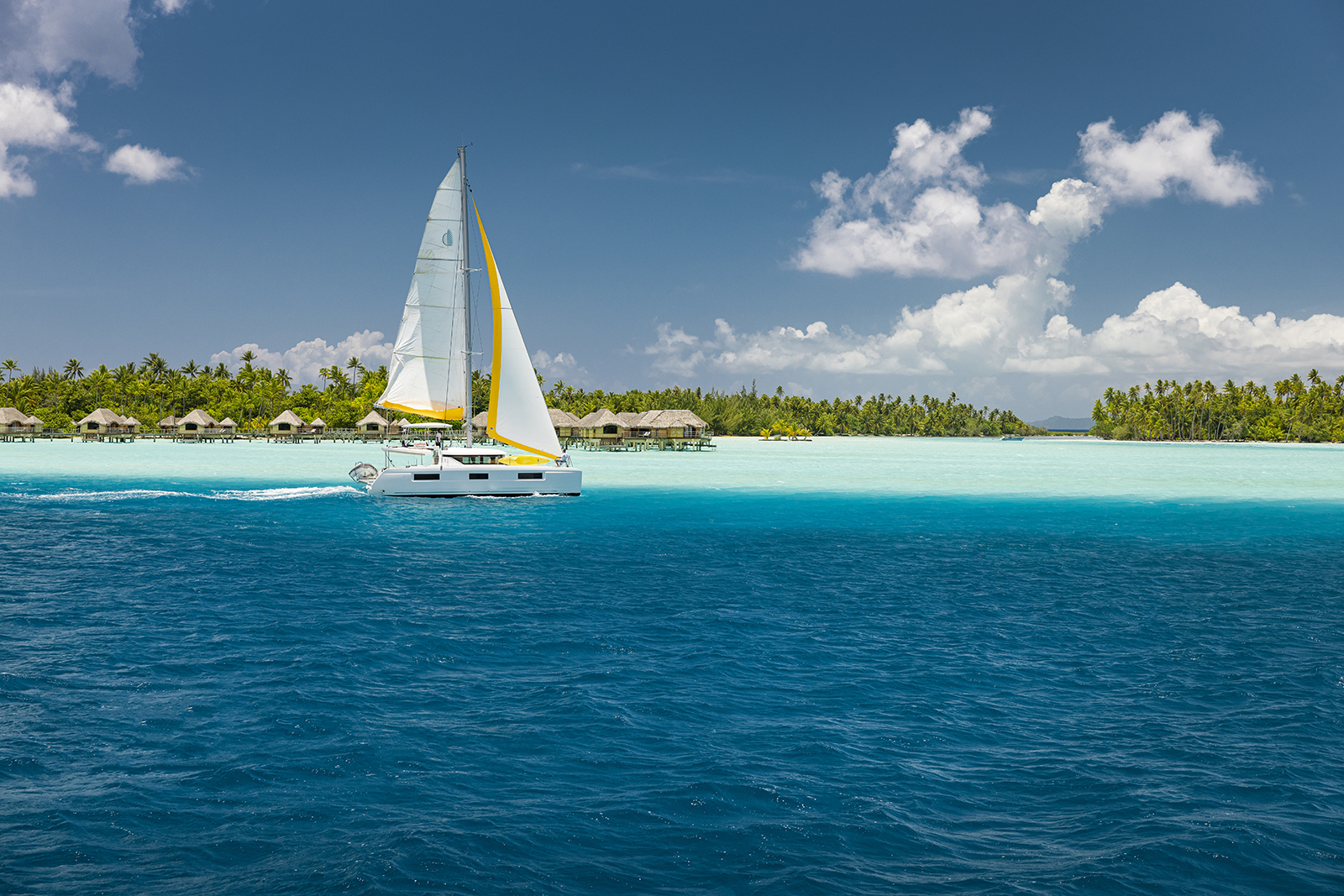 00128 tahaa  gregoirelebacon