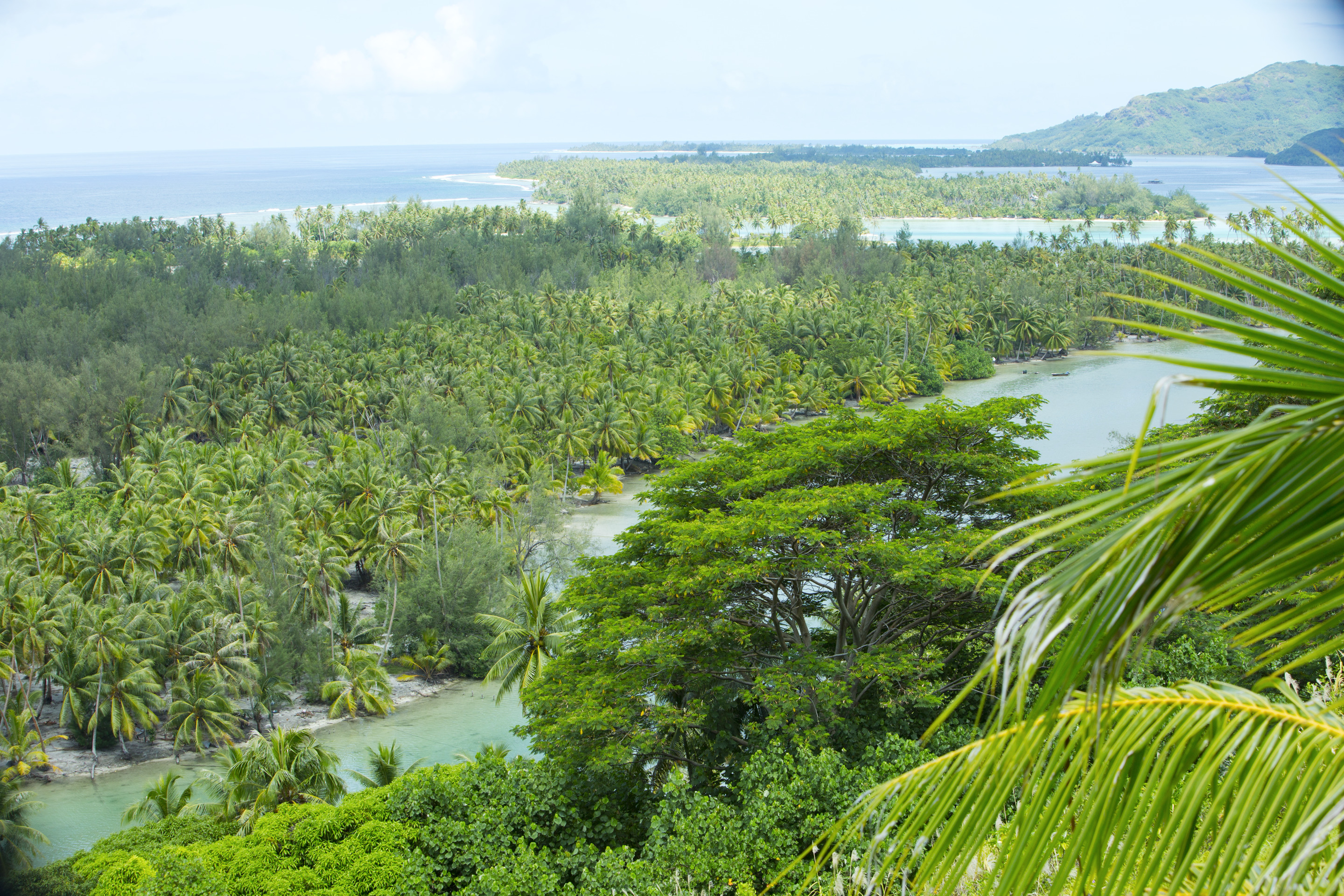 p2 08 huahine 01373