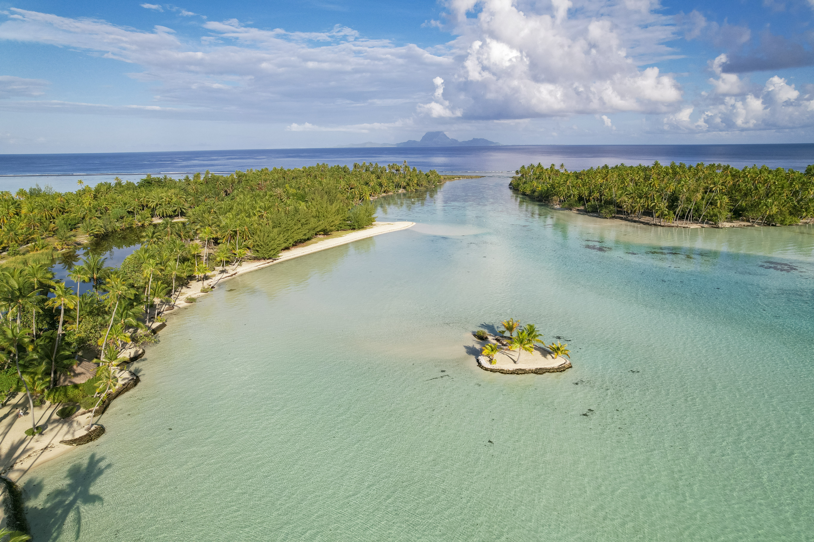 p2 tahaa 00252 tahaa   gregoire le bacon 2736x1824