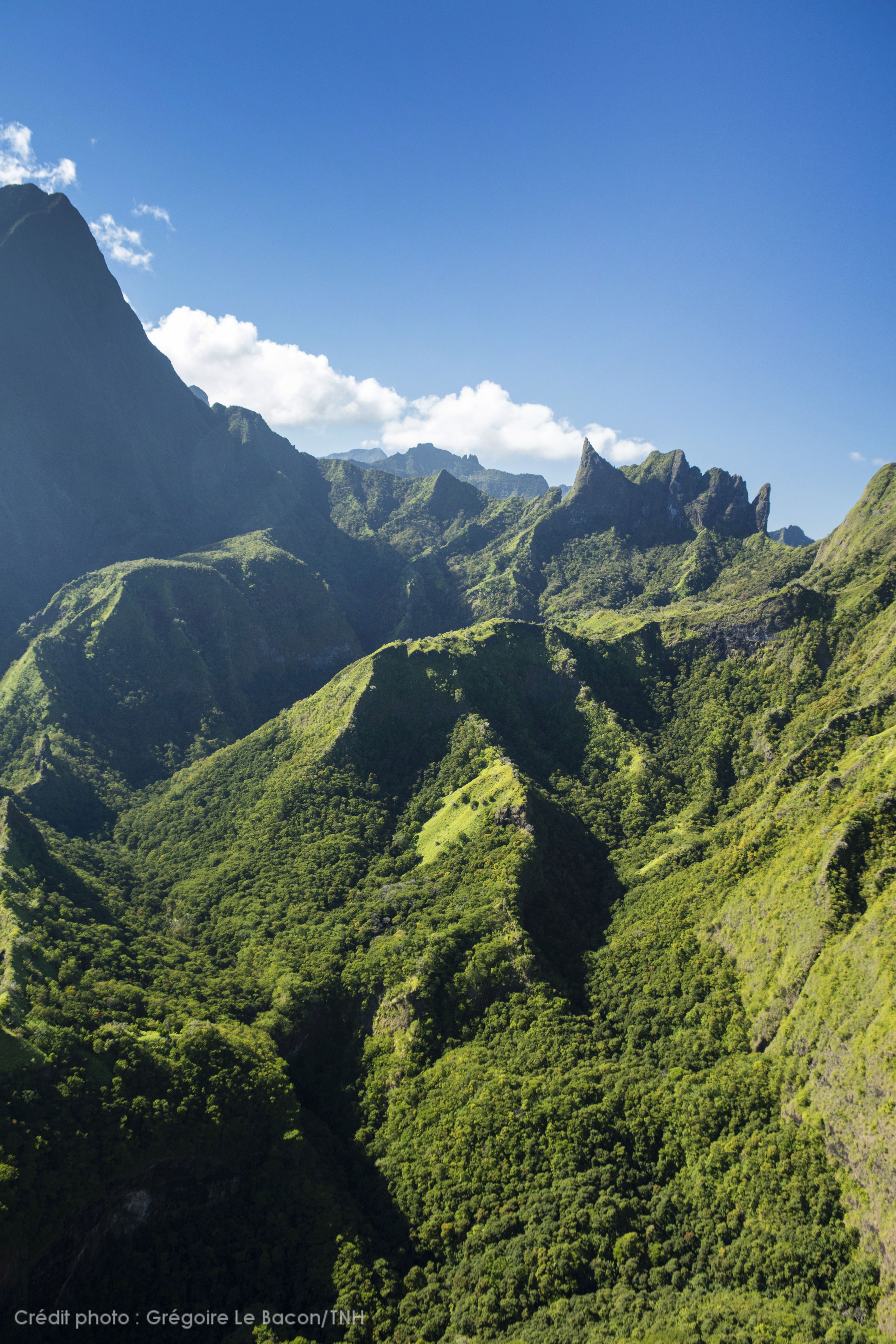 tahiti tahiti tourisme gre goire le bacon tahiti nui helicopters 2