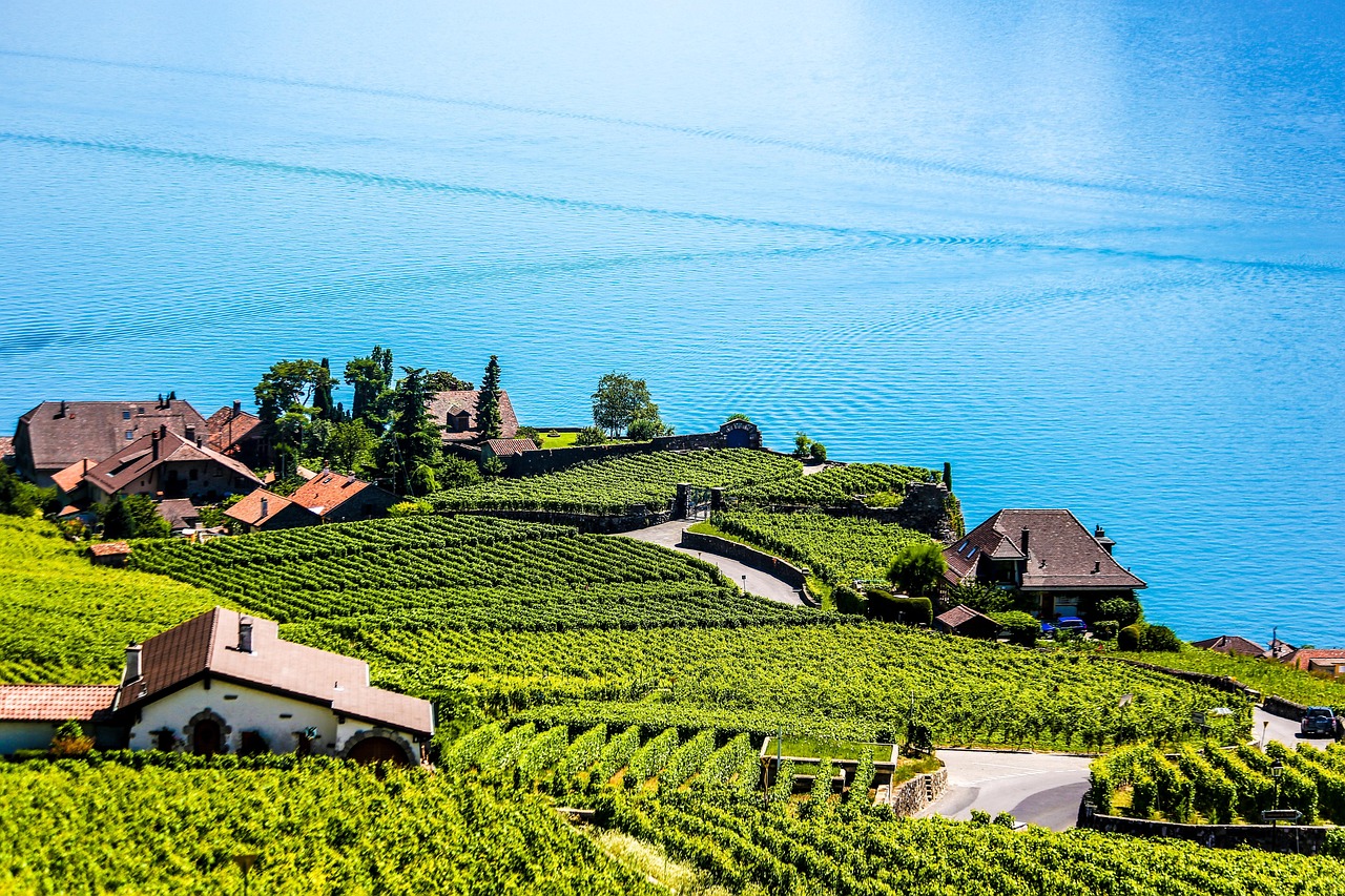montreux wijngaarden