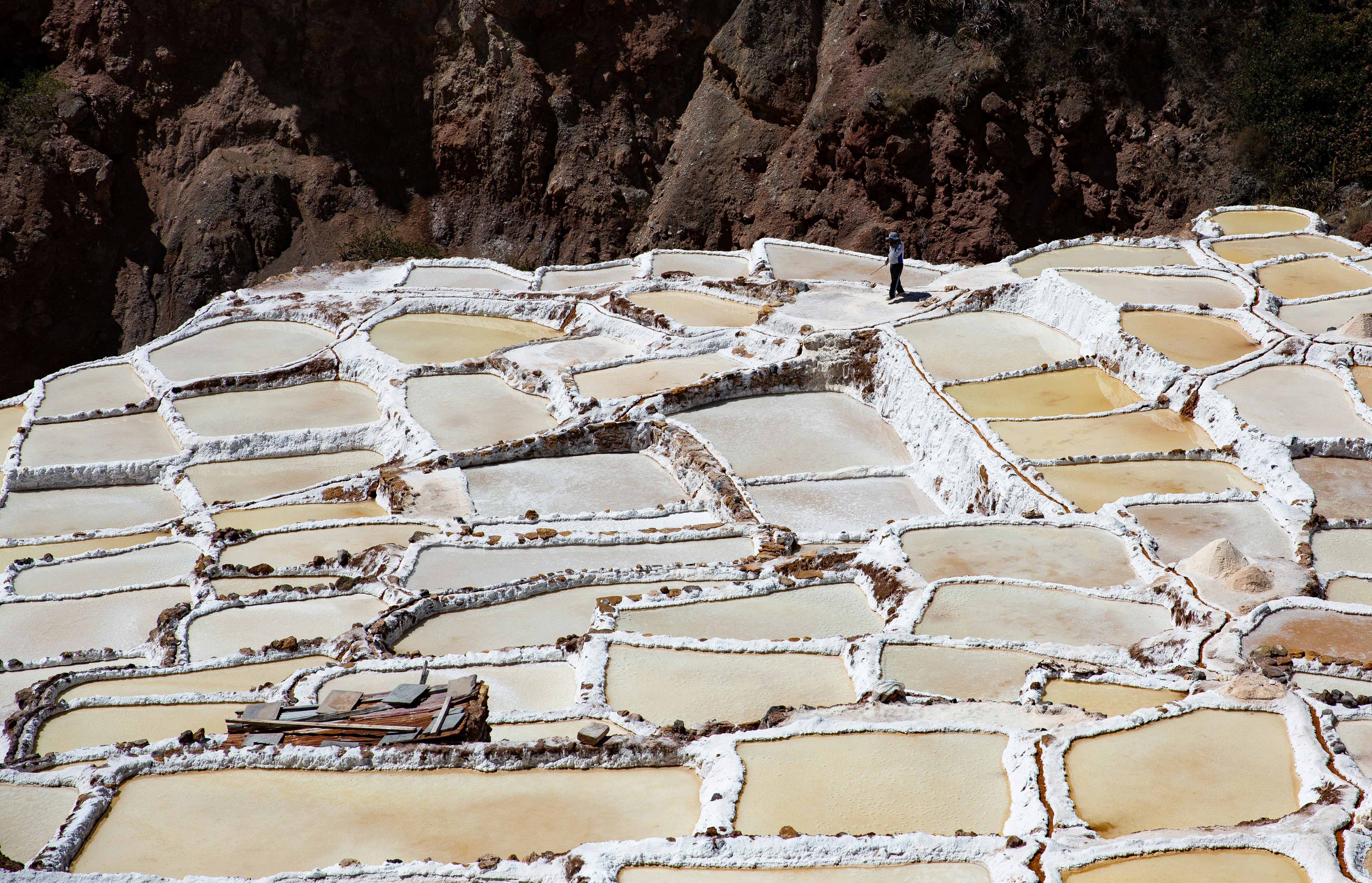 maras
