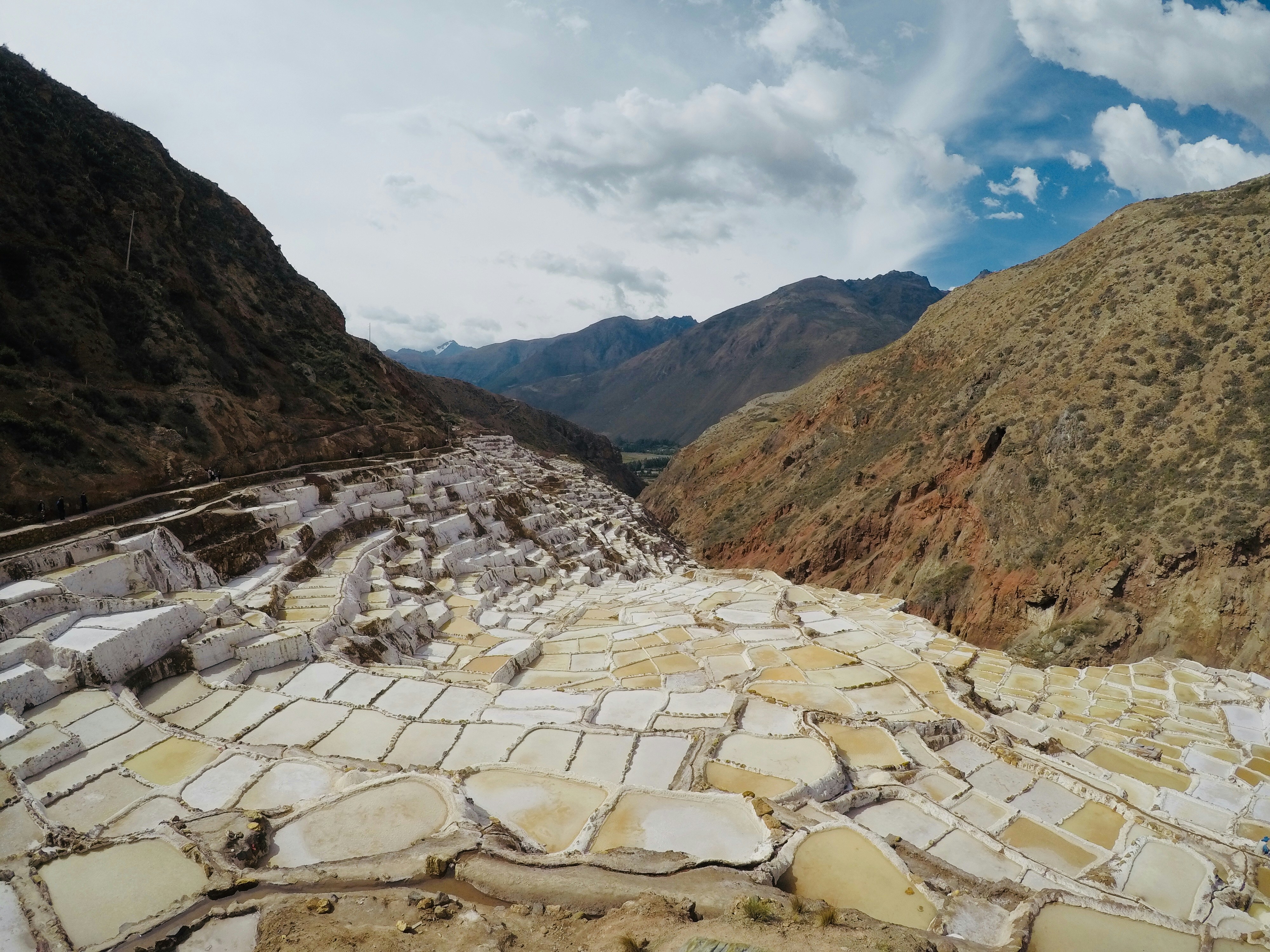 maras 2